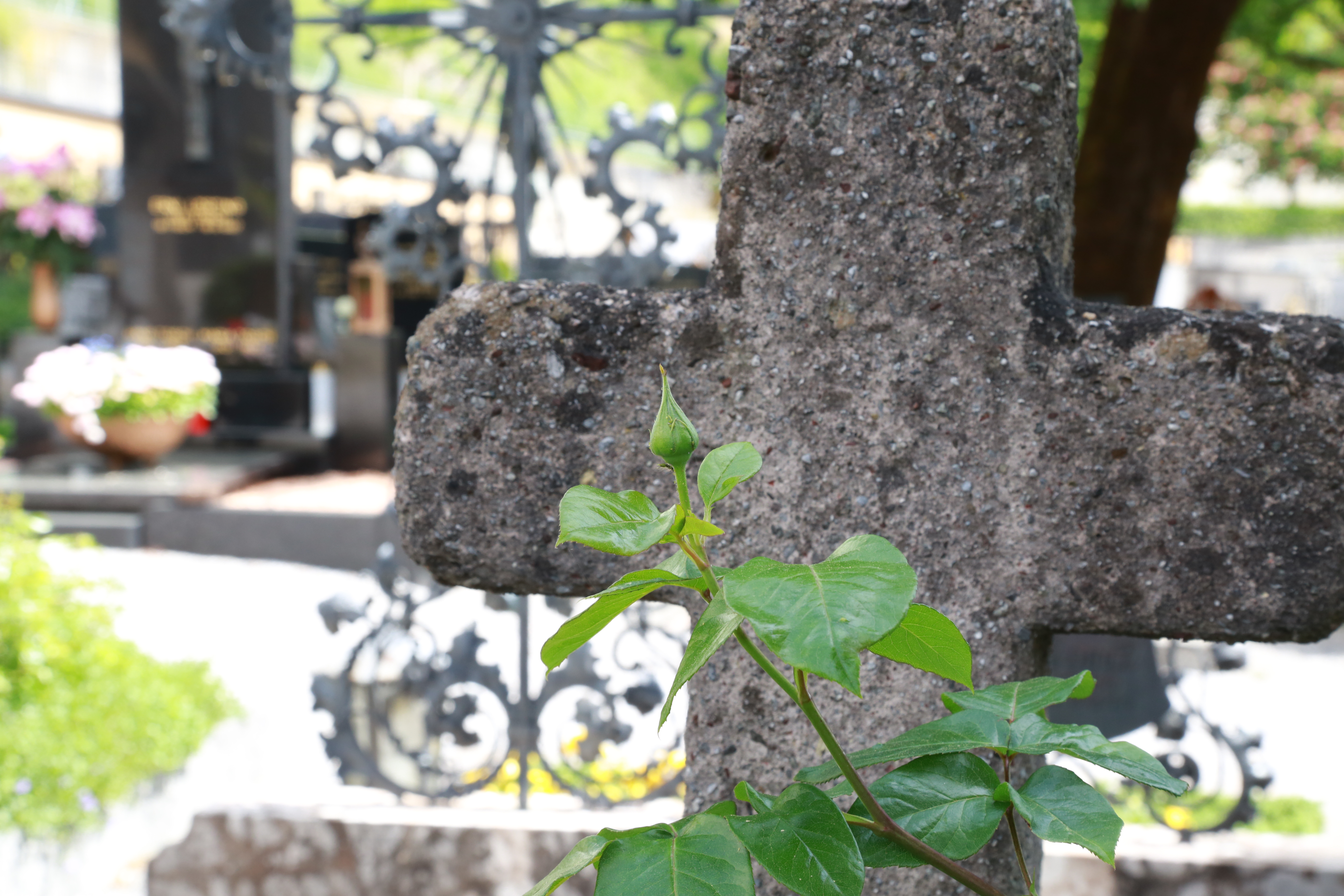 Die Stadtregierung gedenkt des Verdienstkreuz-Trägers, Mag. Klaus Defner, der im 61. Lebensjahr verstorben ist.