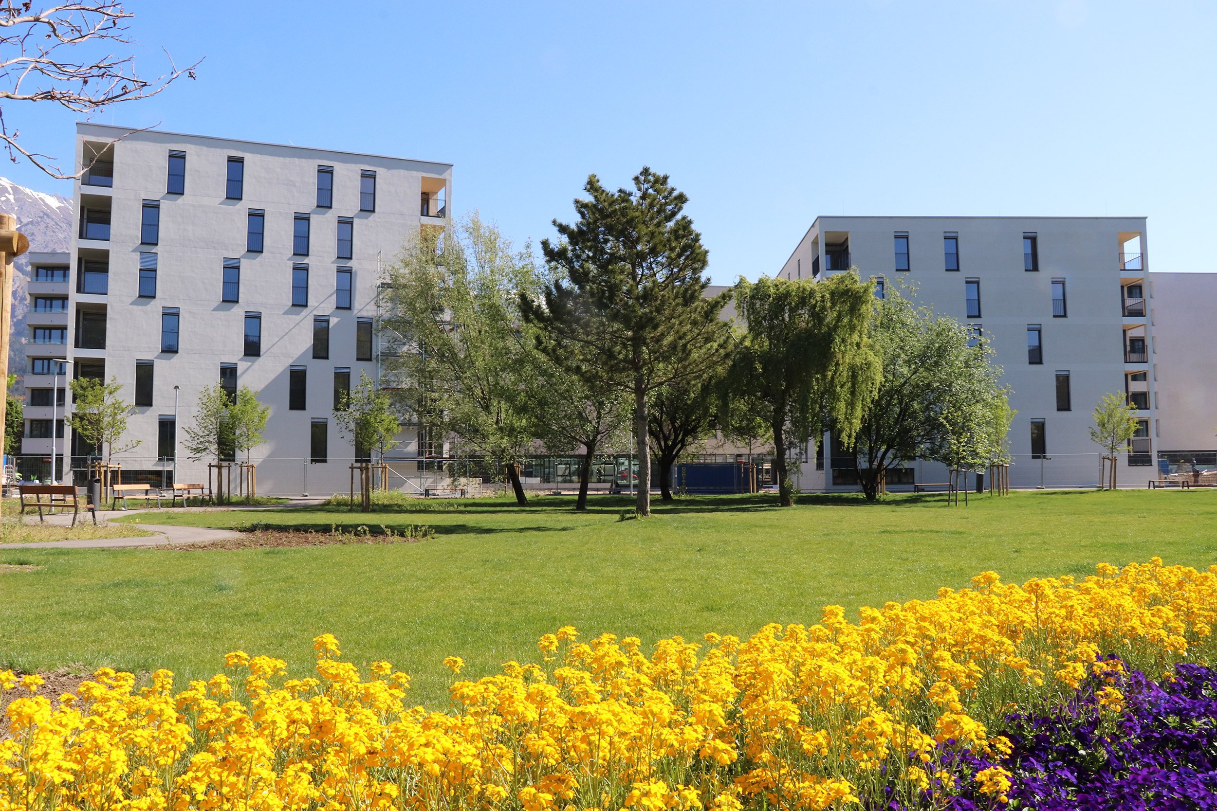 118 städtische Mietwohnungen sind bei „Wohnen im Park“ in der Andechsstraße Ende September bezugsfertig.