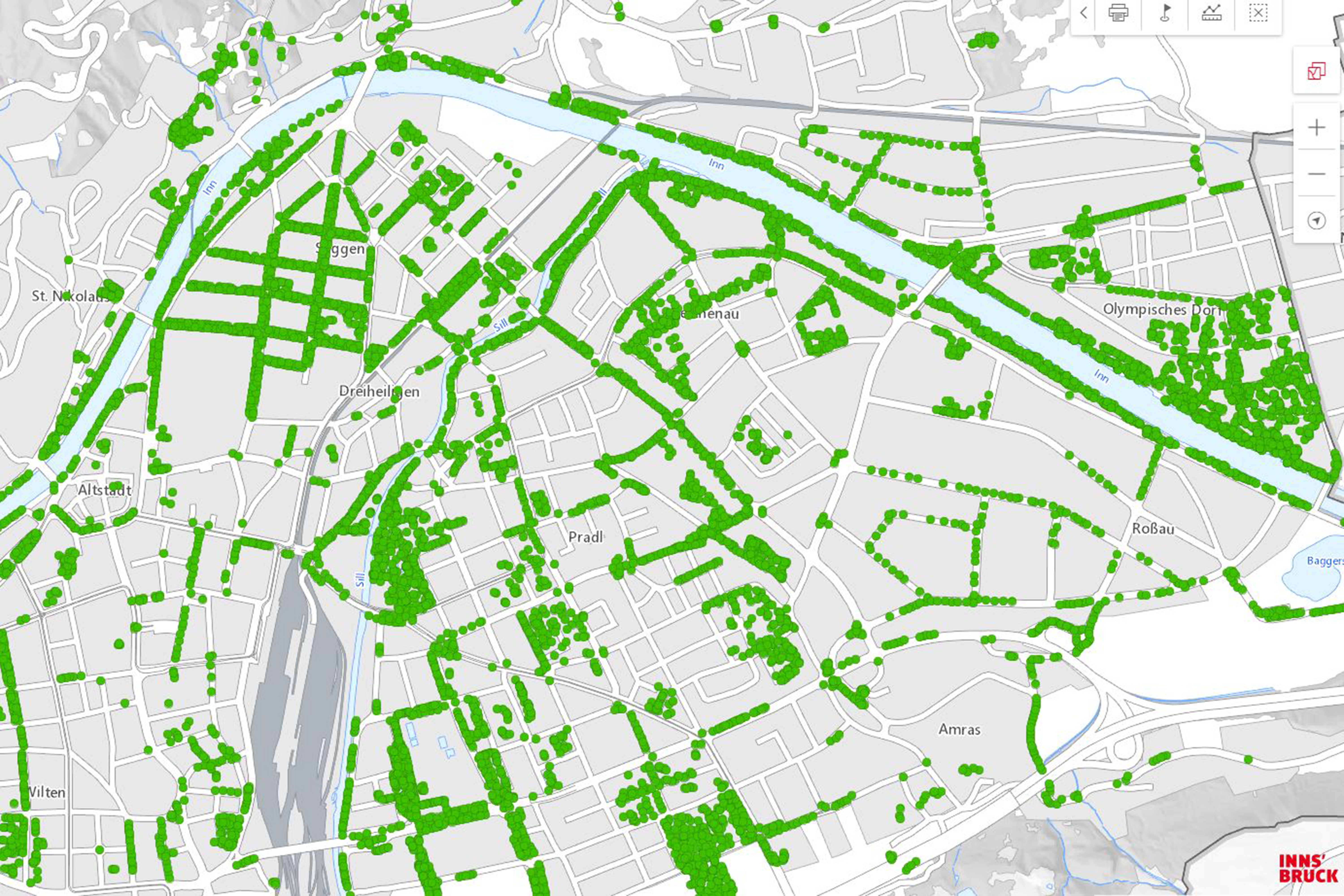 Der digitale Baumkataster gibt Auskunft über Alter, Gattung und Standort aller Bäume, die von der Stadt Innsbruck betreut werden.