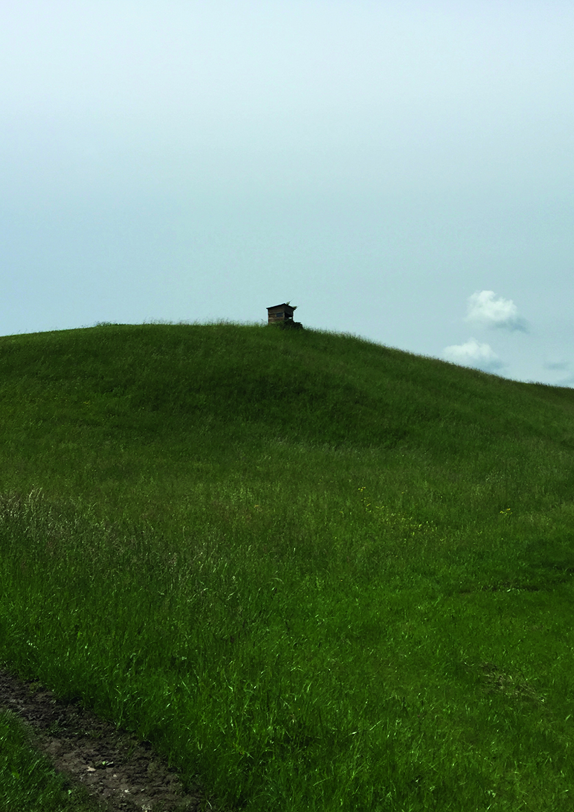 Über das scheinbar hoffnungslose Miteinander von Mensch und Natur: In der „Plattform 6020“ ist bis 8. August die Ausstellung „Goretexian“ von Sebastian Köck zu sehen.