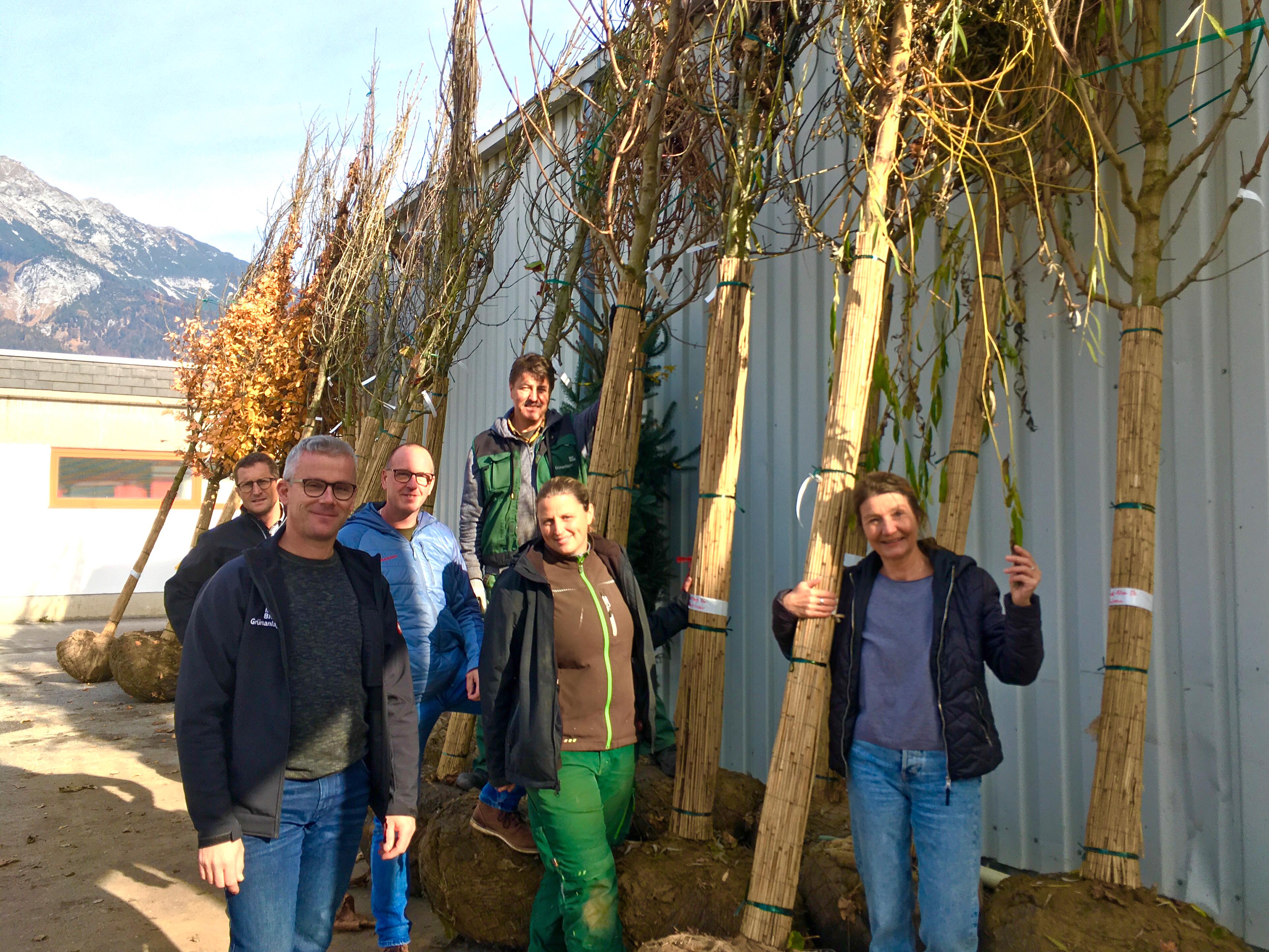 Amtsvorstand Thomas Klingler, Michael Gapp, Robert Mair, Franz Gatt, Nicole Troger (alle Grünanlagenamt) und Vizebürgermeisterin Uschi Schwarzl (v. l.) freuen sich über die Baum-Lieferung.