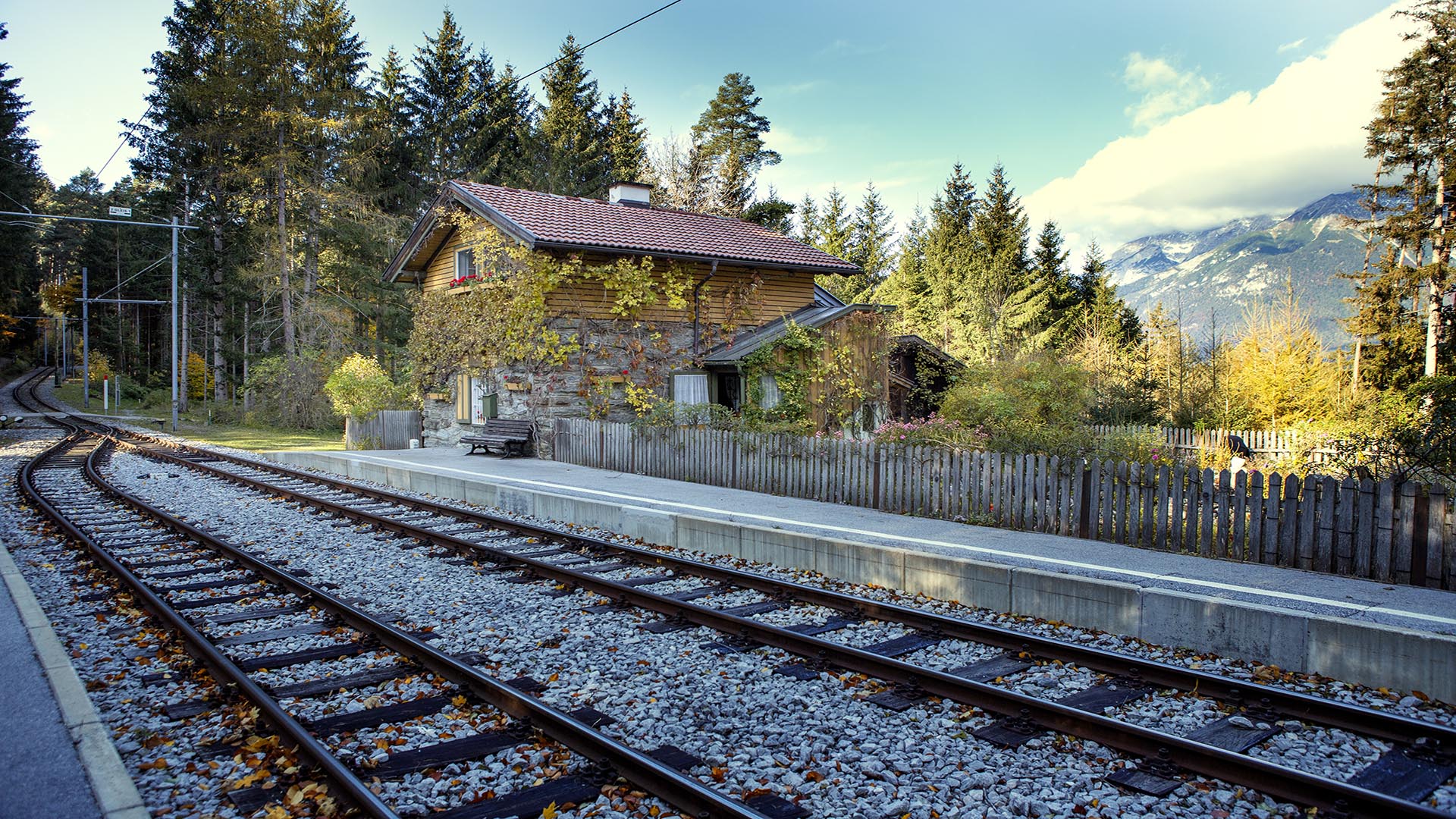 Das Häuschen bei der Haltestelle Tantegert ist von wilden Pflanzen und Geschichten umrankt.