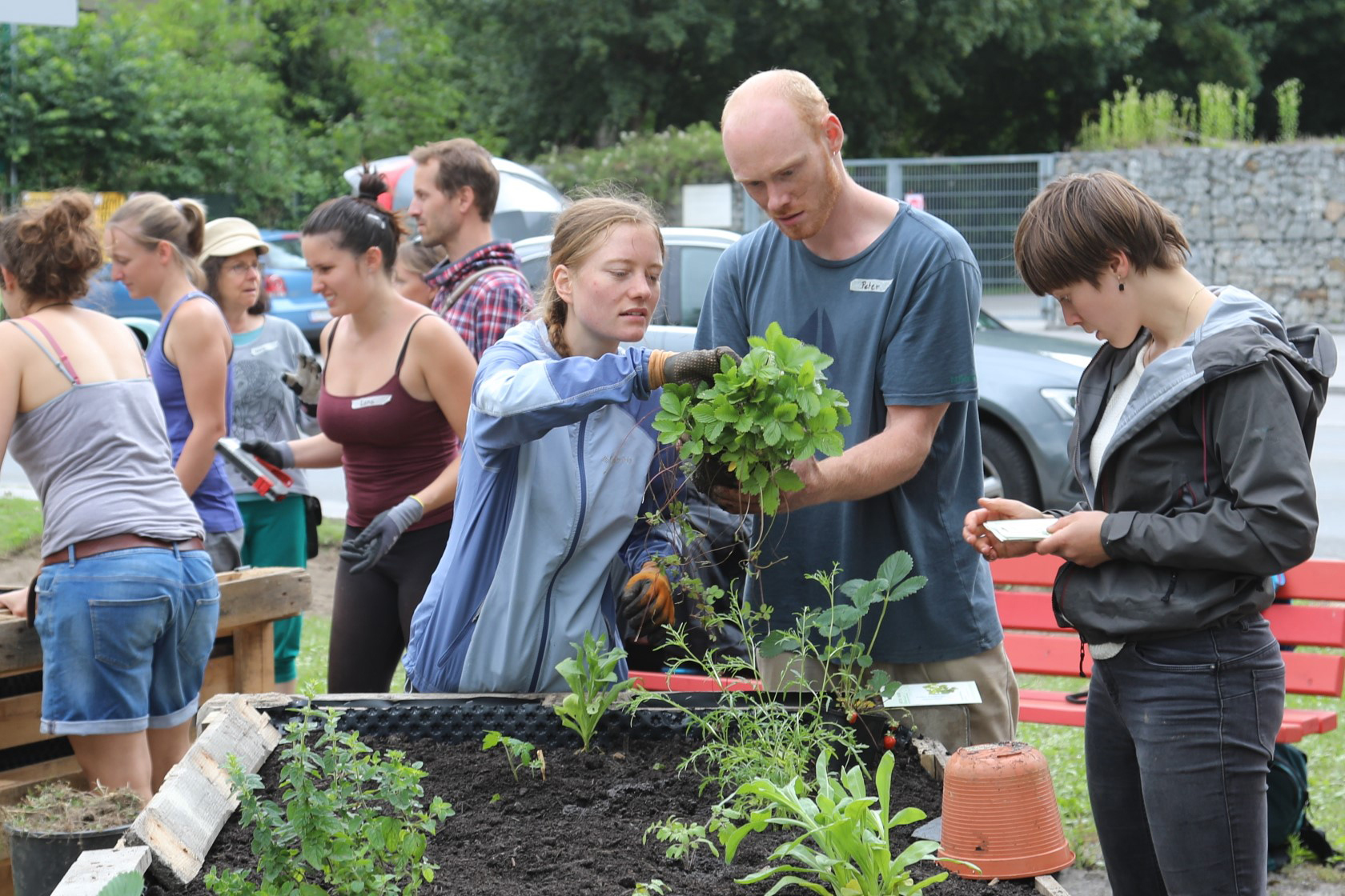 Im Sommer 2020 wurde beim Kaysergarten St. Nikolaus erstmals urban gegartelt.