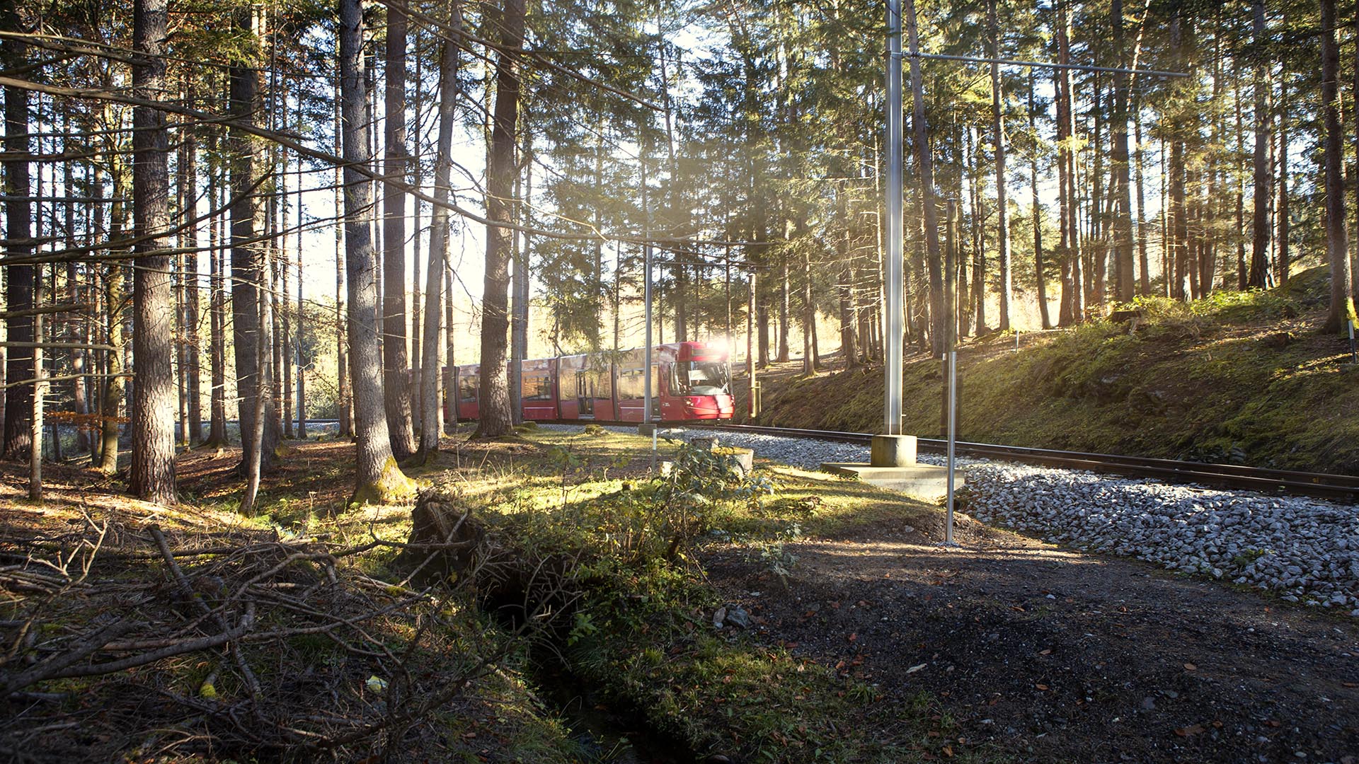 Mit einem attraktiven Konzept soll die Waldstraßenbahn noch mehr InnsbruckerInnen und Gäste der Stadt umweltfreundlich und gut erreichbar in die anliegenden Naherholungsgebiete bringen.