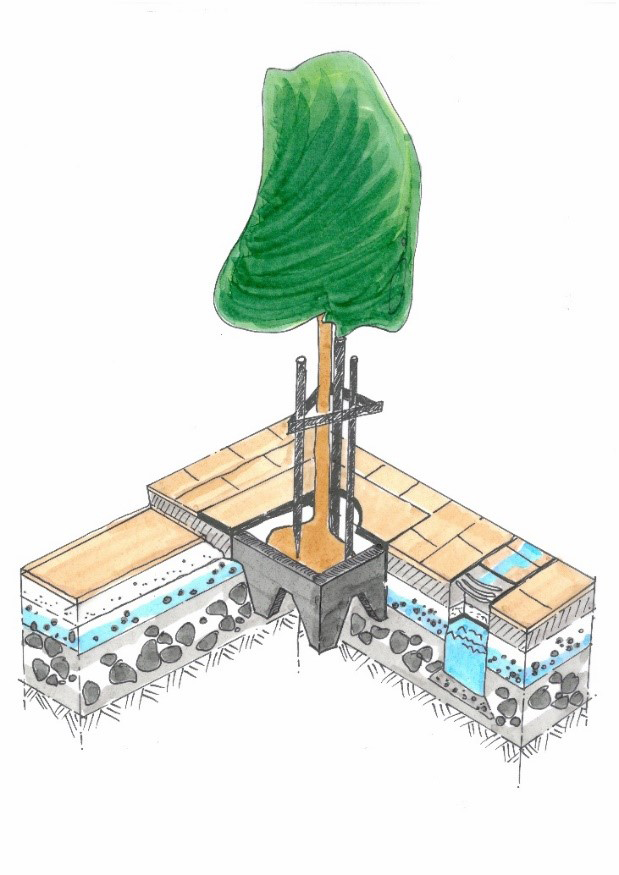 Straßenbaum mit Schwammstadt-Prinzip: Aufbau von unten nach oben: Mutterboden, grobe Schotterschicht, wasserführende feine SchotterPflanzenkohle-Schicht, Tragschicht, Deckschicht als Plattenbelag