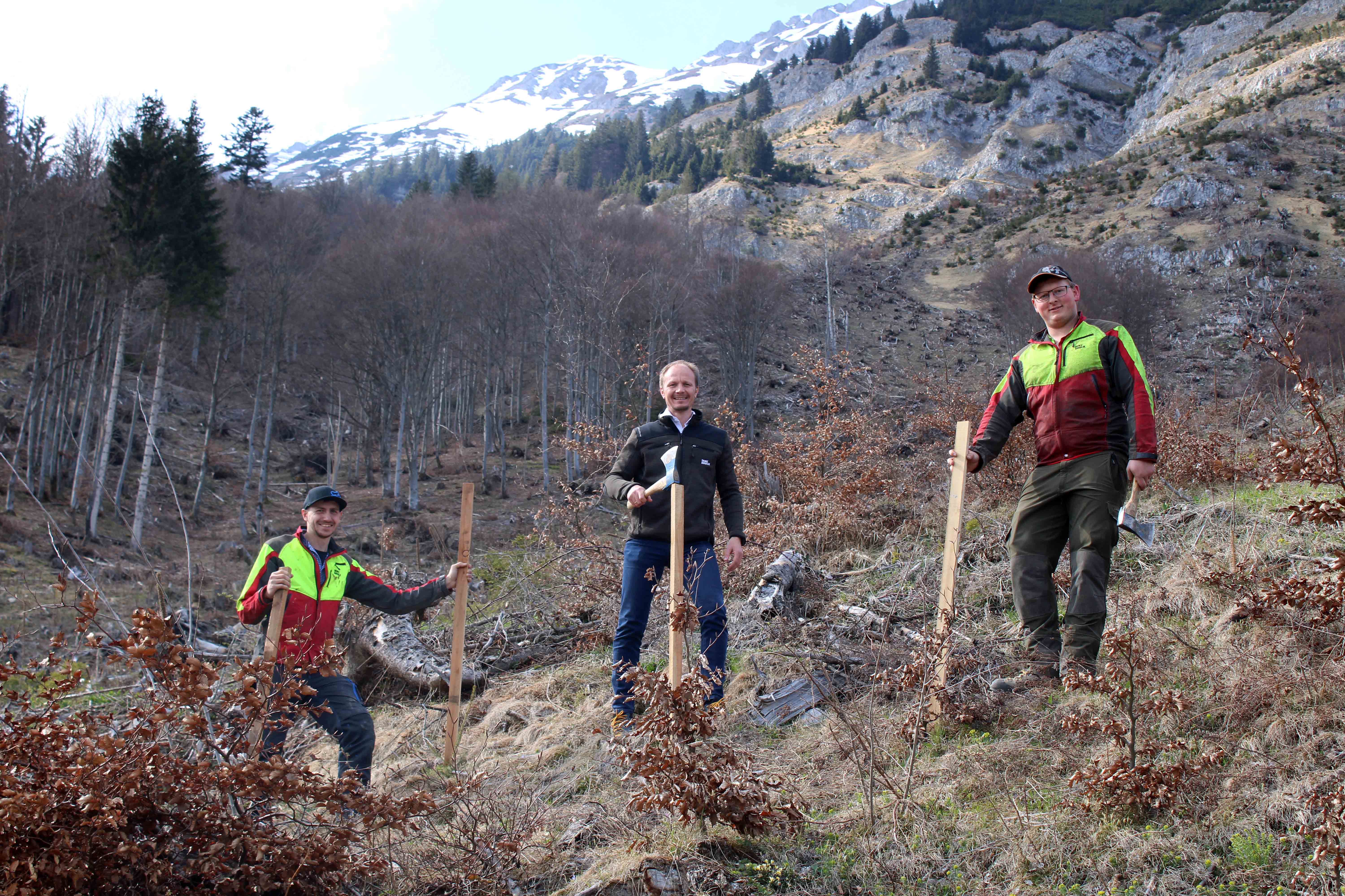 Vizebürgermeister Johannes Anzengruber (M.) und Mitarbeiter des Amtes für Wald und Natur bei der Wiederaufforstung im Bereich der Arzler Alm.