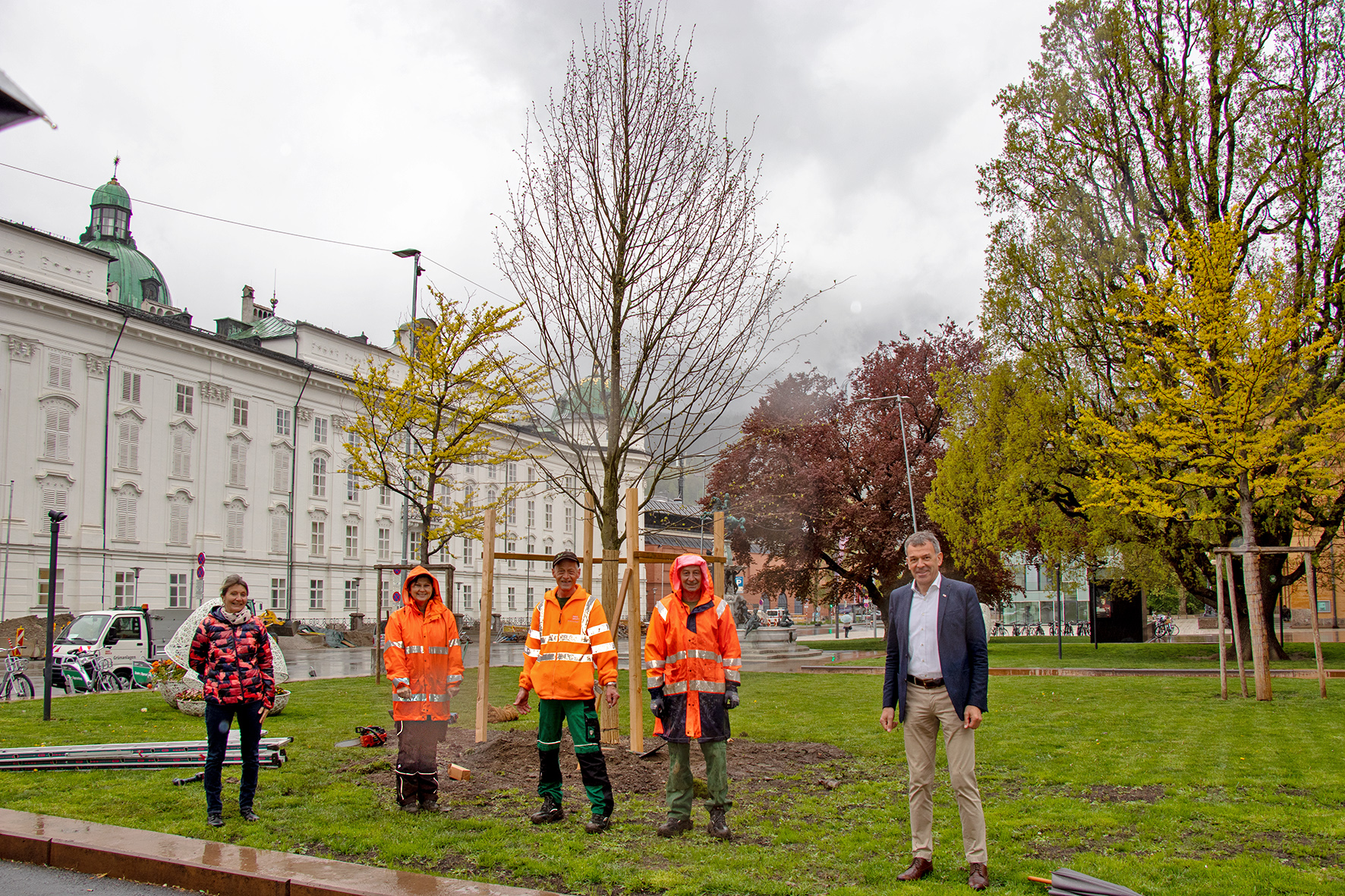 Trotz regnerischen Wetters freuen sich Bürgermeister Georg Willi und Stadträtin Uschi Schwarzl gemeinsam mit MitarbeiterInnen des städtischen Amtes für Grünanlagen über die neu gepflanzte Kaiserlinde.