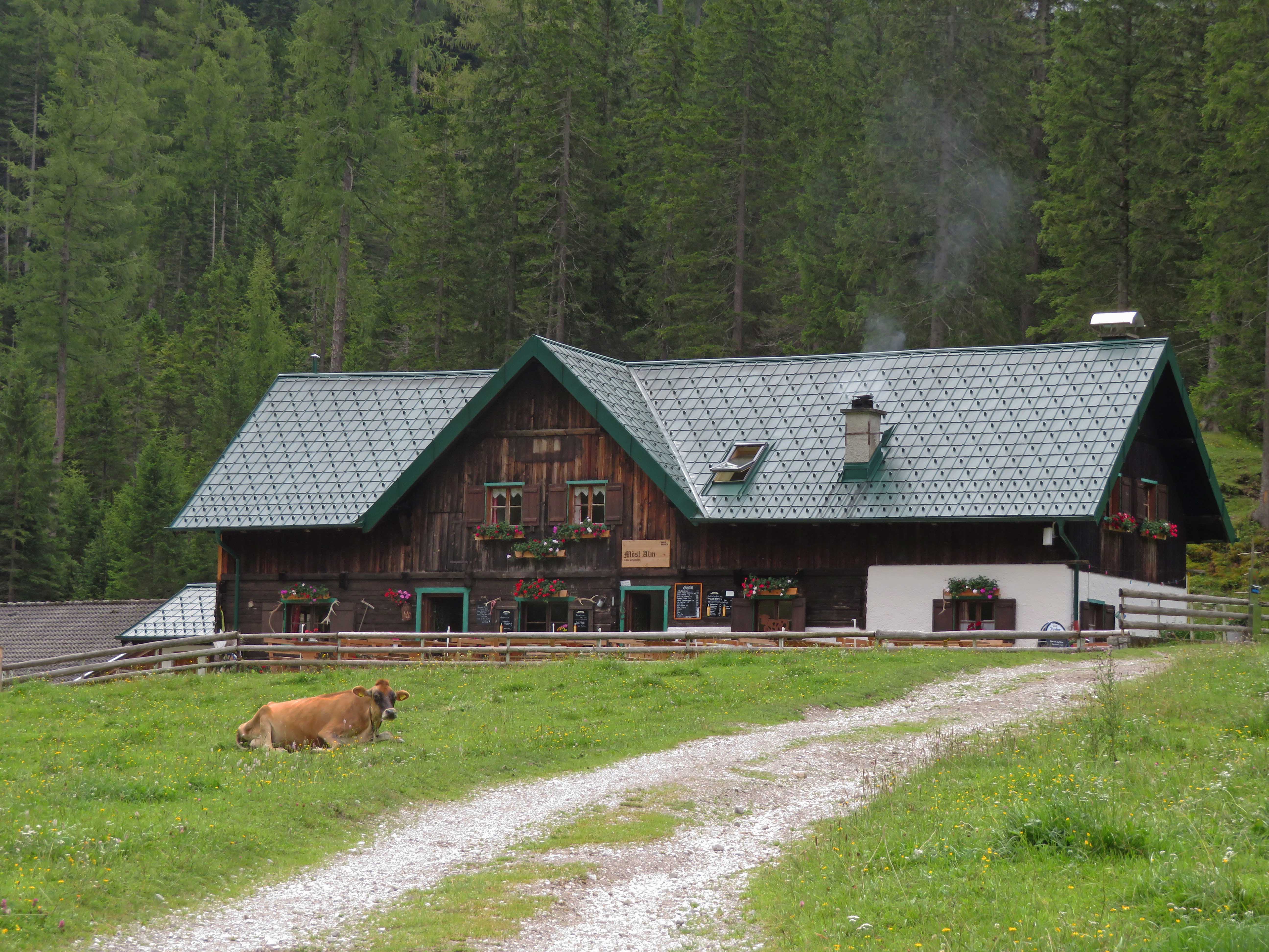Die Möslalm liegt auf 1.260 Metern im Gleirschtal inmitten des Naturparks Karwendel.