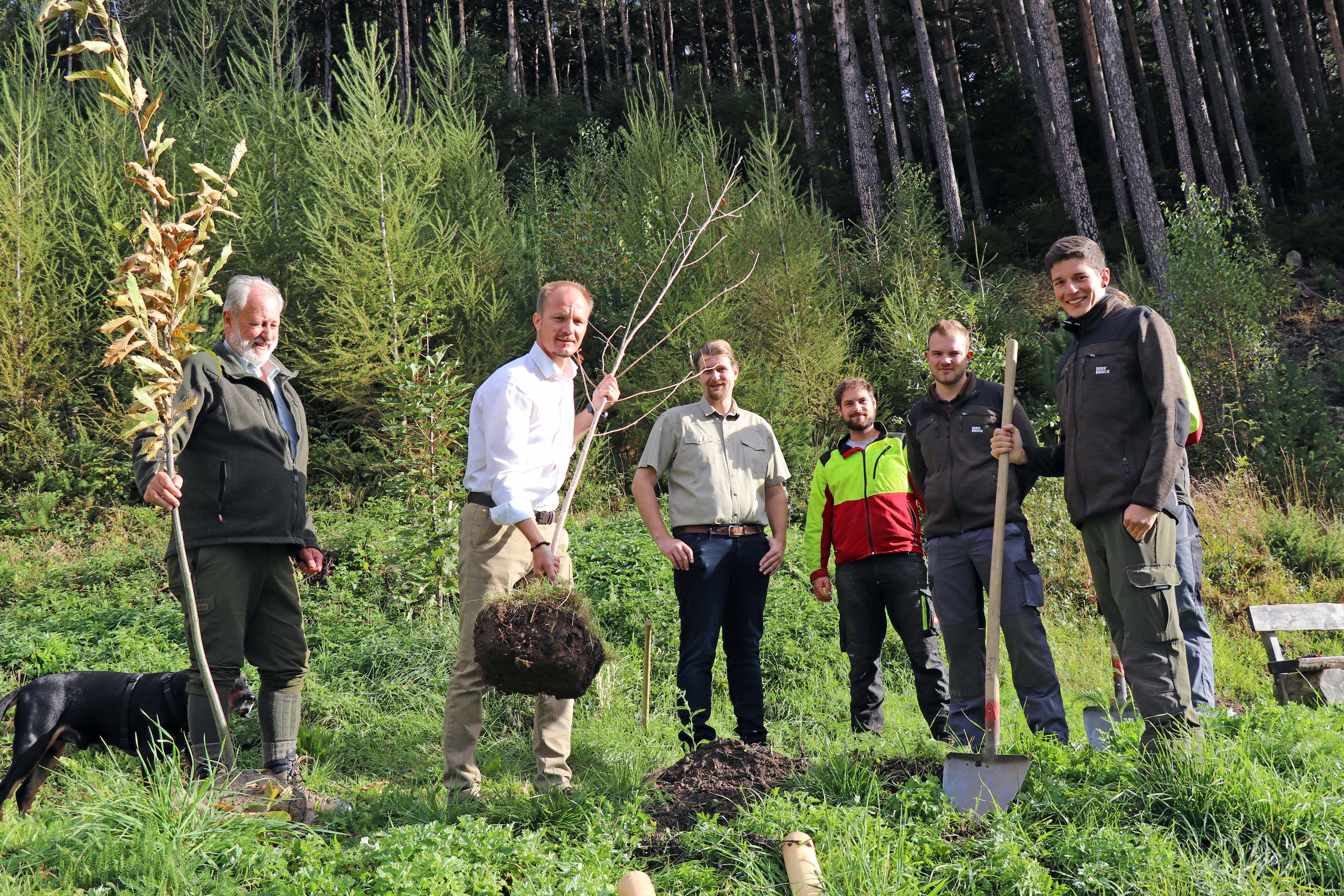 Neue Bäume für das Naherholungsgebiet am Viller Moor: Vizebürgermeister Johannes Anzengruber (2.v.l) gemeinsam mit Kurt Pröller vom Referat Wald und Almen (1.v.l.) und den Mitarbeitern des Amtes für Wald und Natur.