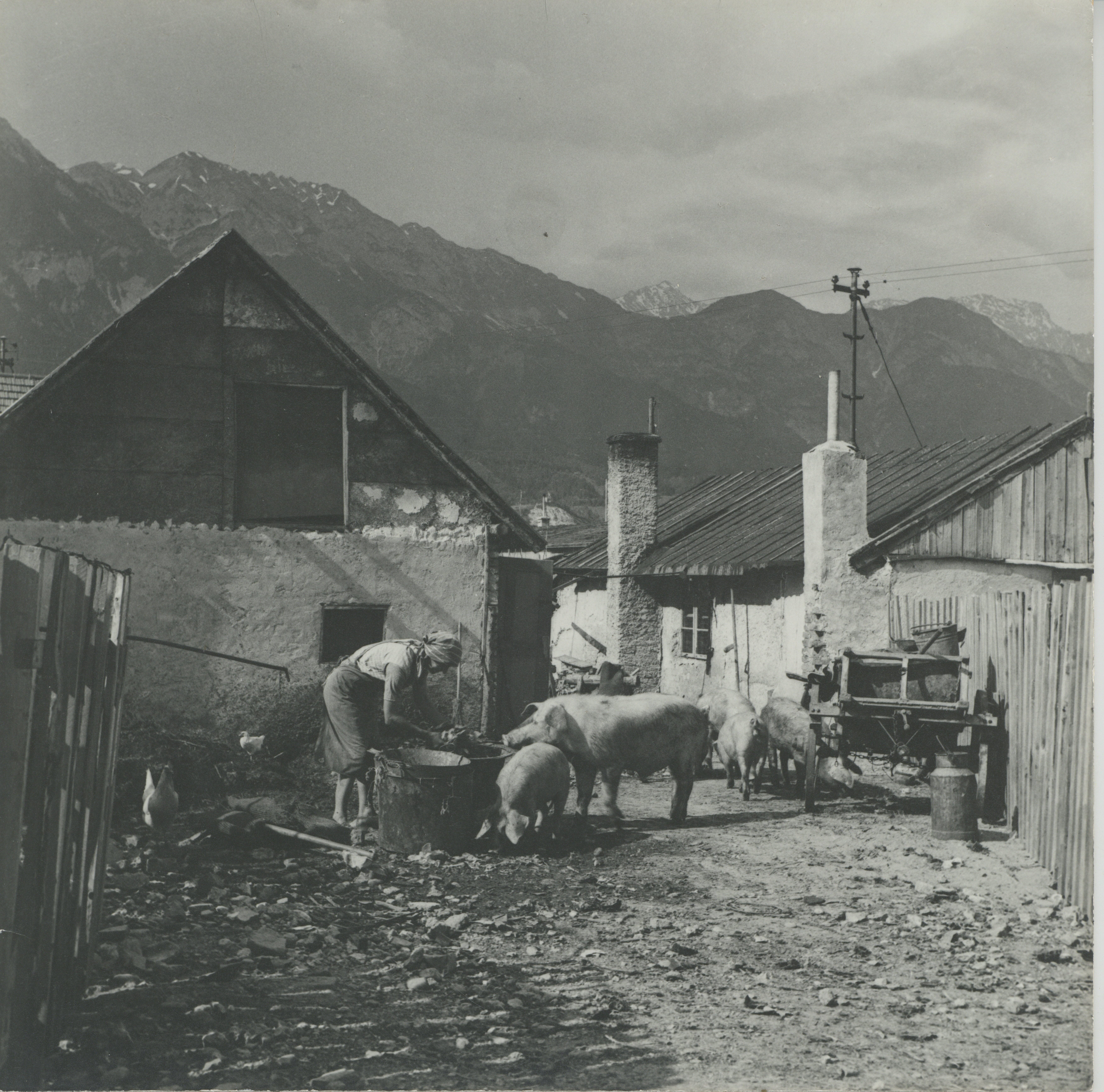 Das Leben in der Bocksiedlung war geprägt von schwierigen Lebensverhältnissen und beengten Wohnverhältnissen.
