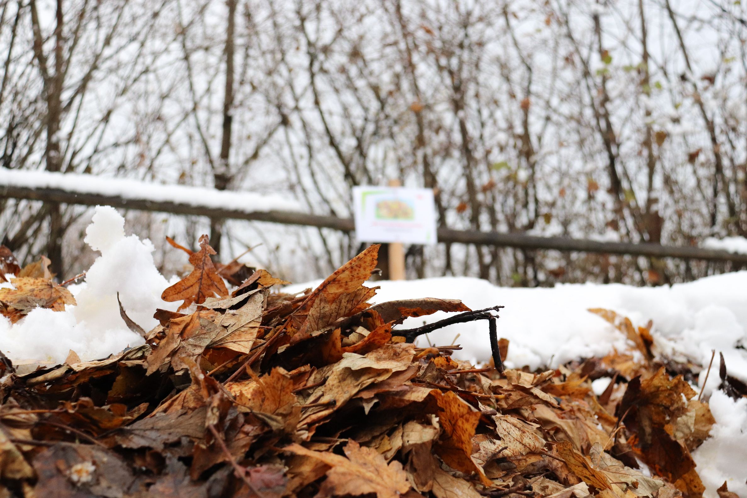 Achtung, Igel im Anmarsch! Hinweistafeln, wie hier an der Franz-Gschnitzer-Promenade, machen auf die Igelquartiere aus Laub aufmerksam.