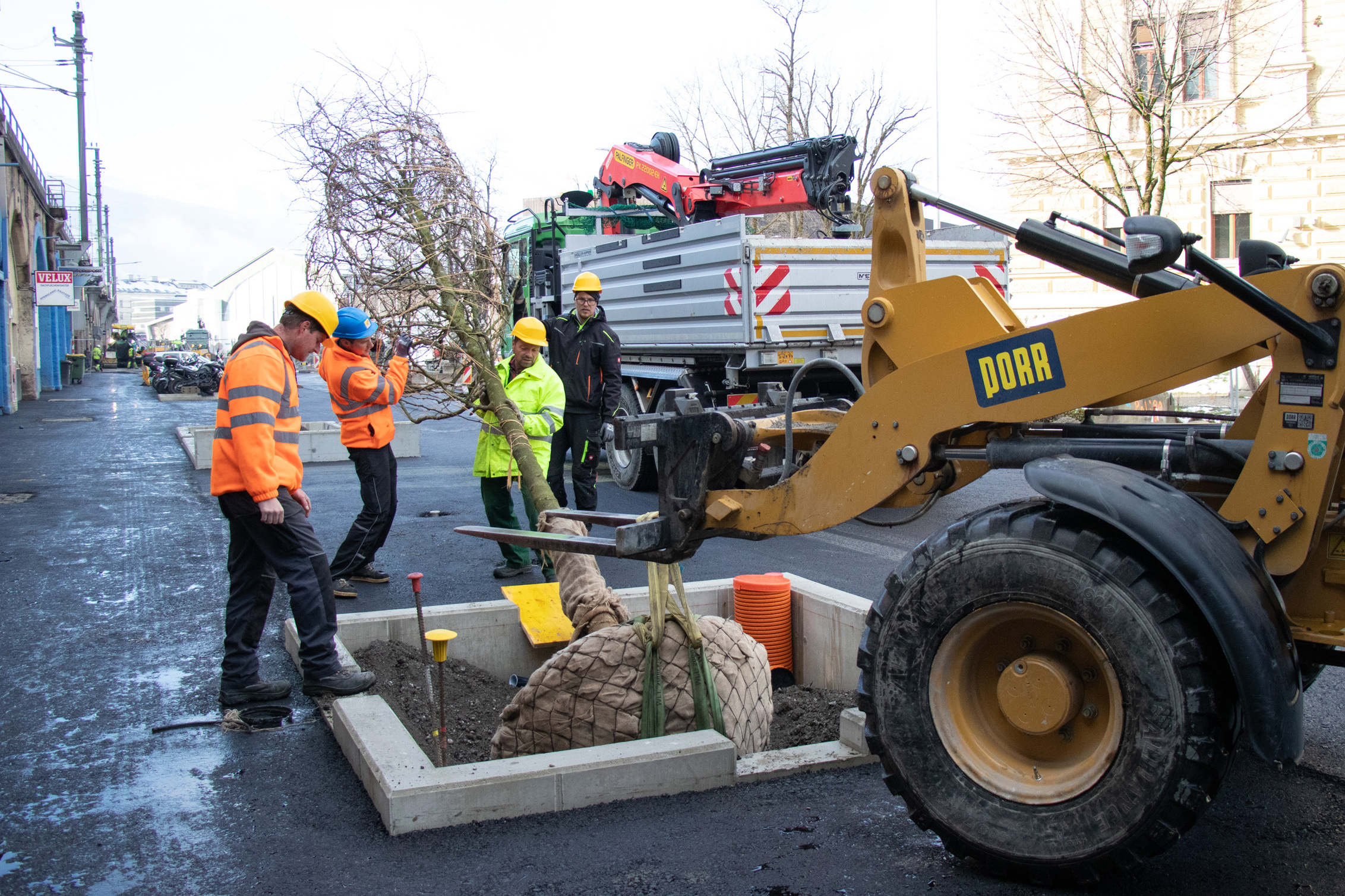 Eine neue Baumreihe mit neun Stück großstämmigen Gleditschien wurde vor Kurzem bei den Viaduktbögen gesetzt. Diese ergänzen die weiter nördlich stehenden Robinien.