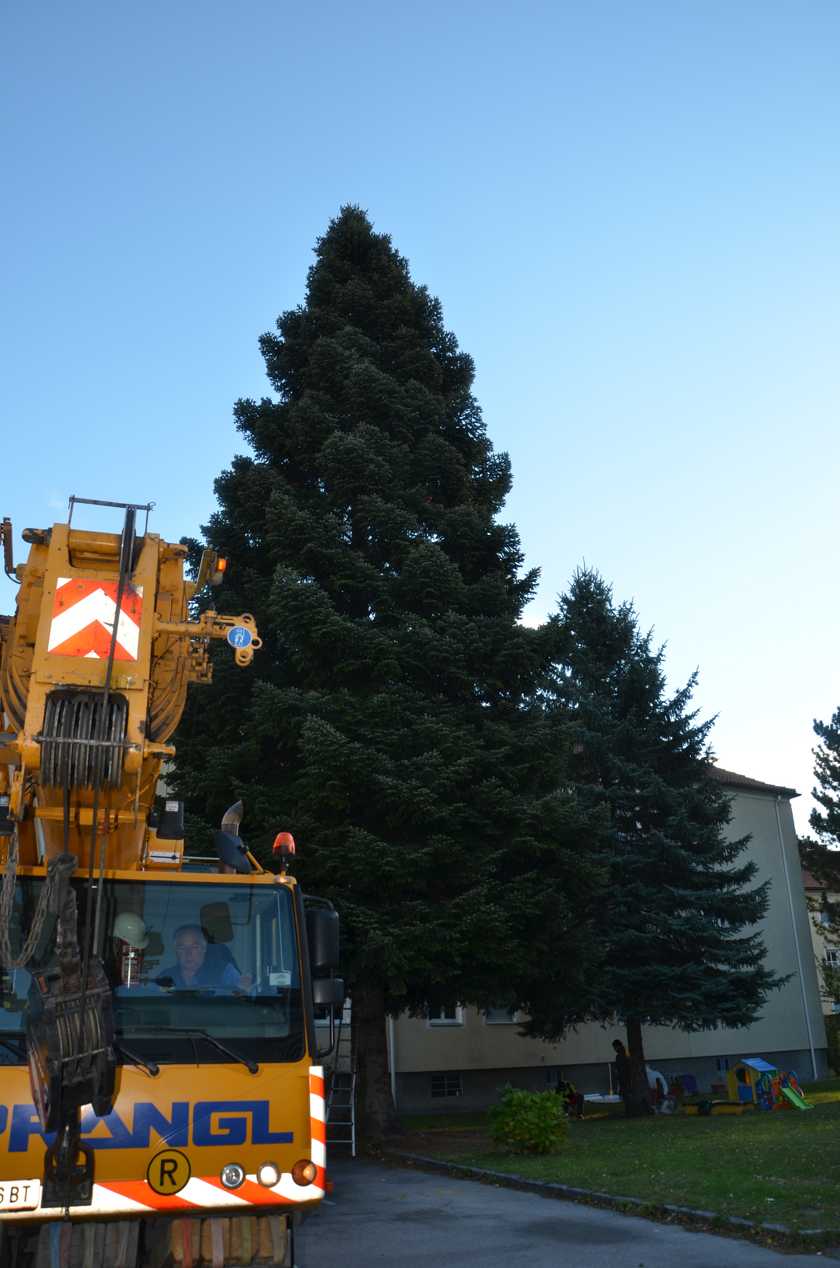 Der Kranwagen fährt vor. Noch steht die imposante Tanne im Pradler Saggen.