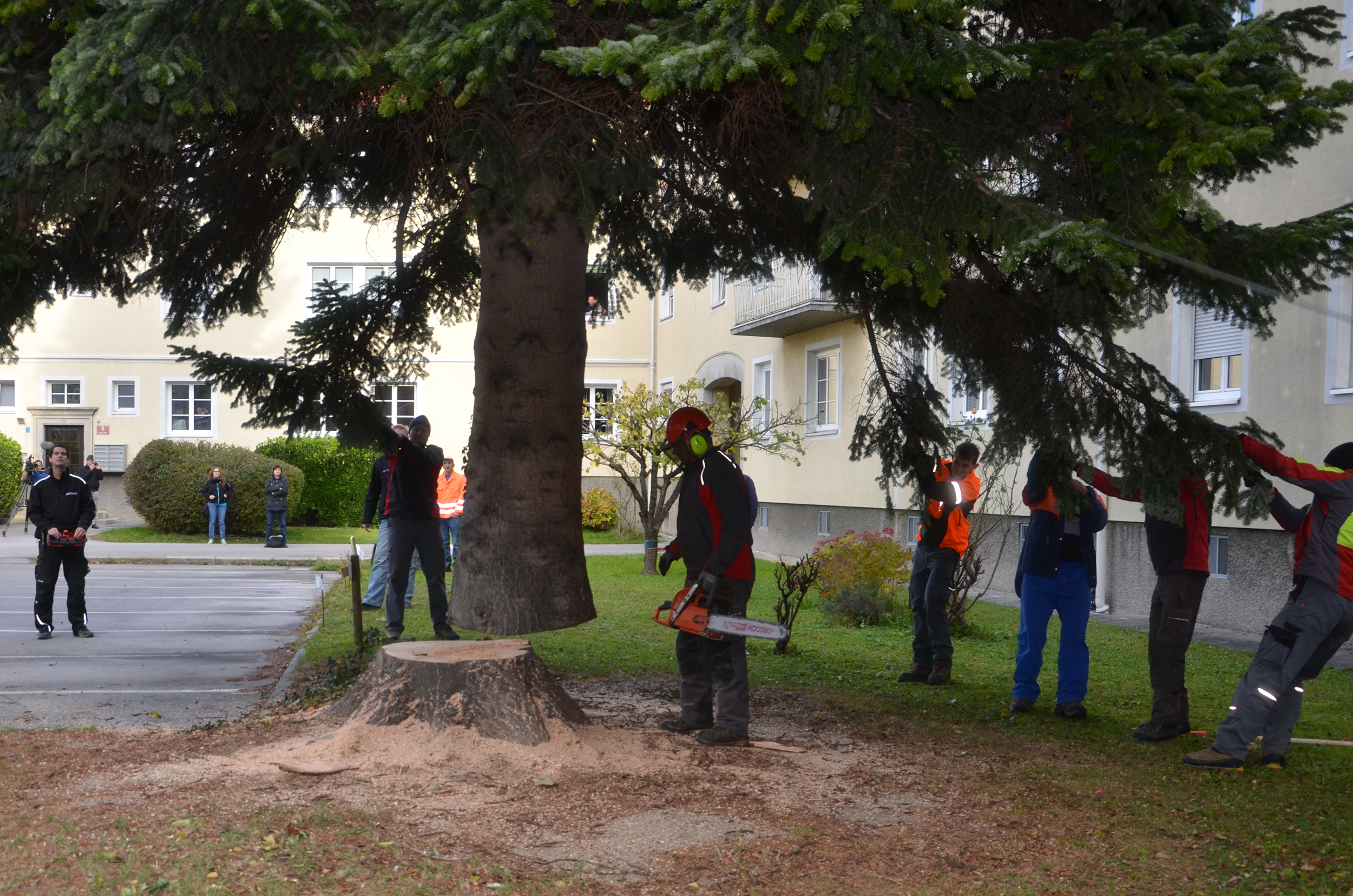 Der kritische Moment: Der 6,5 t schwere Baum schwebt frei in der Luft.
