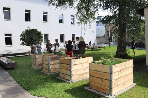 Hochbeete im Gymnasium Kettenbrücke