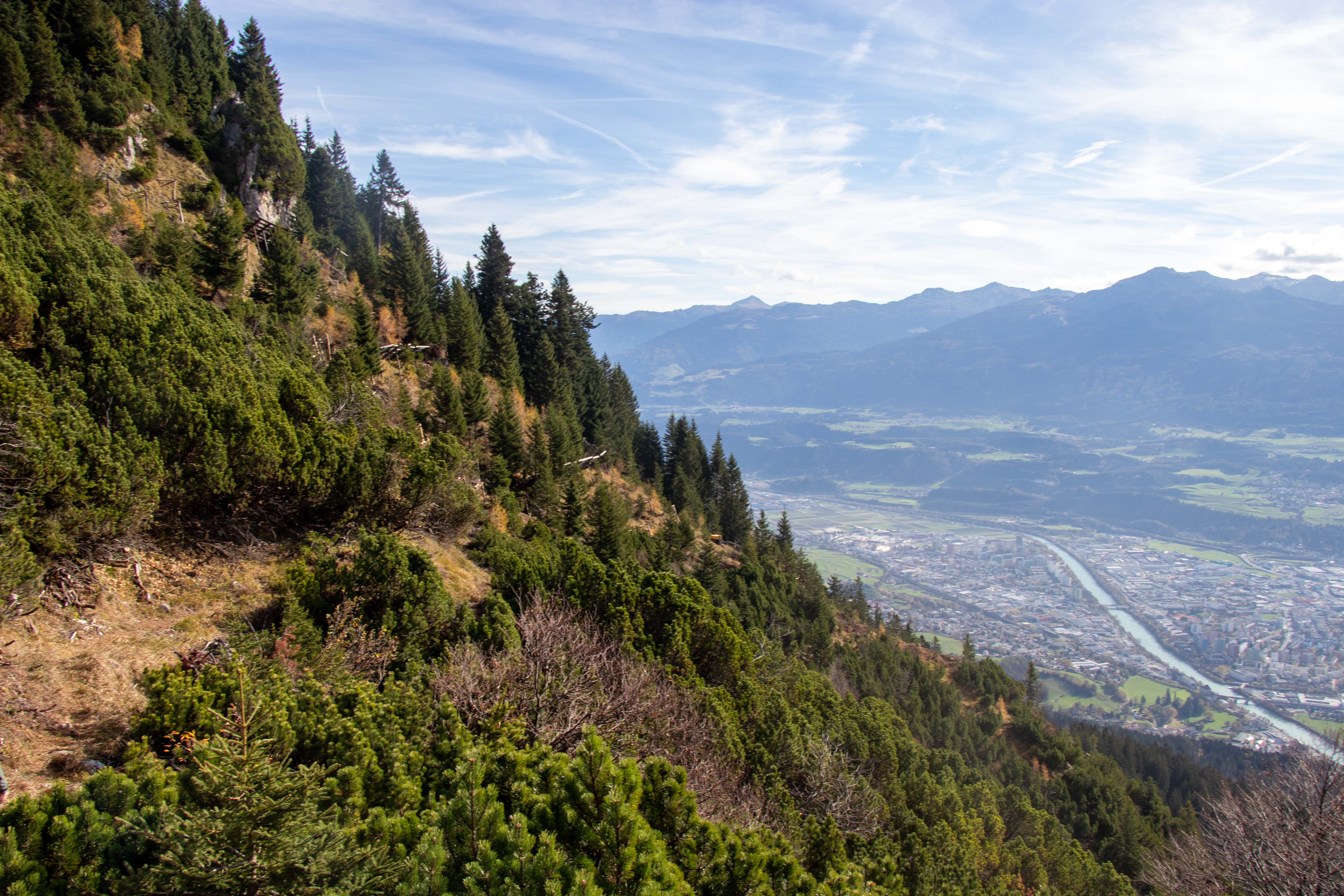 Knapp unterhalb der städtischen Bodensteinalm werden die teilweise zerstörten Holzstützwerke saniert oder bei Bedarf ersetzt.