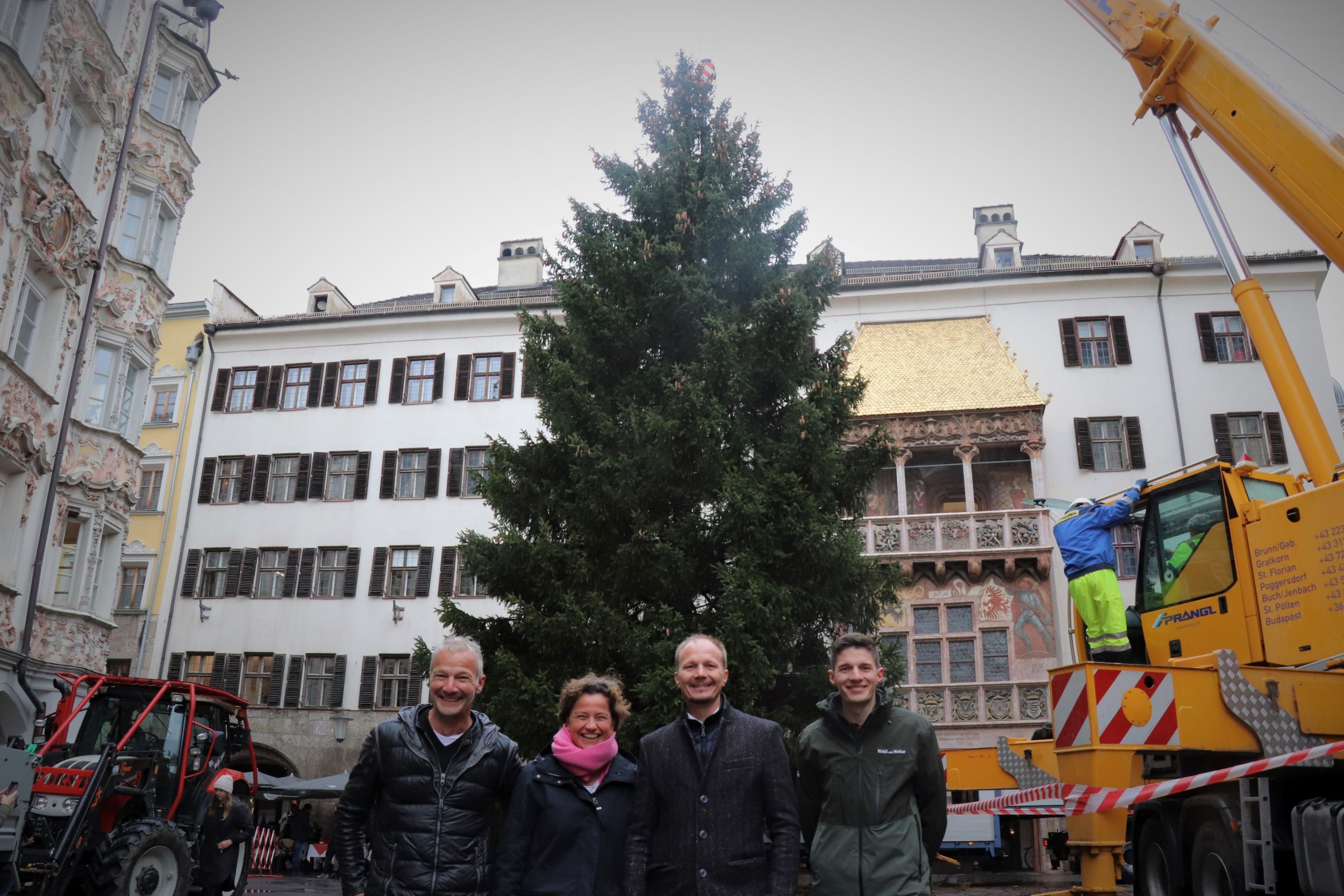 Freuen sich über die Aufstellung des Innsbrucker Christbaumes (v.l.): Robert Neuner (IAI Veranstaltungs GmbH), Heike Kiesling (GF Innsbruck Marketing), Vizebürgermeister Johannes Anzengruber und Florian Jäger (Amt für Wald und Natur).