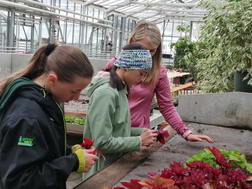 Freude im Umgang mit Pflanzen: In den Glashäusern der Stadtgärtnerei sind bereits mehrere Frauen beschäftigt.