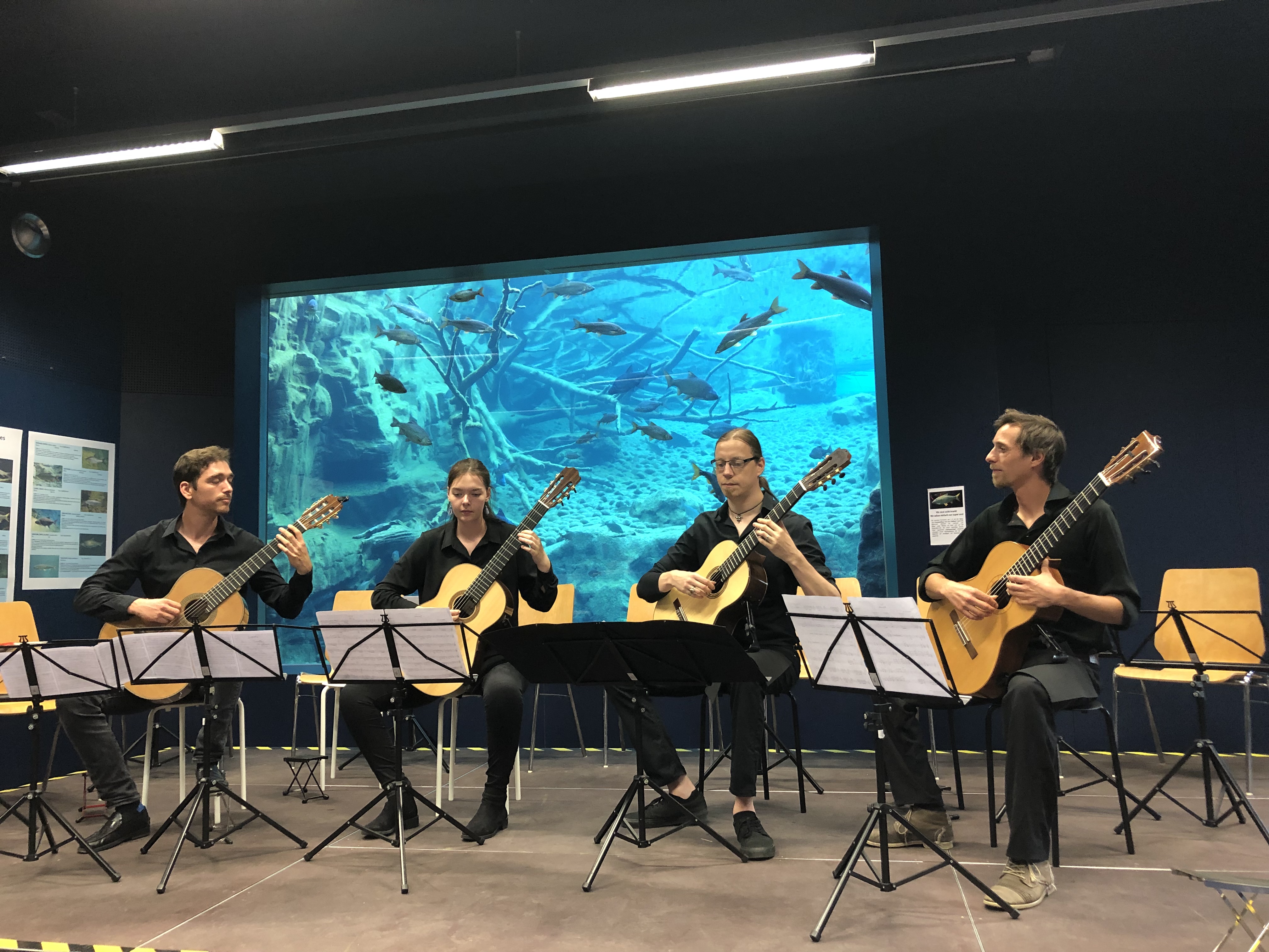 Am 1. Juni sind die Fachgruppen Zupfinstrumente und Blockflöte im Alpenzoo zu hören.