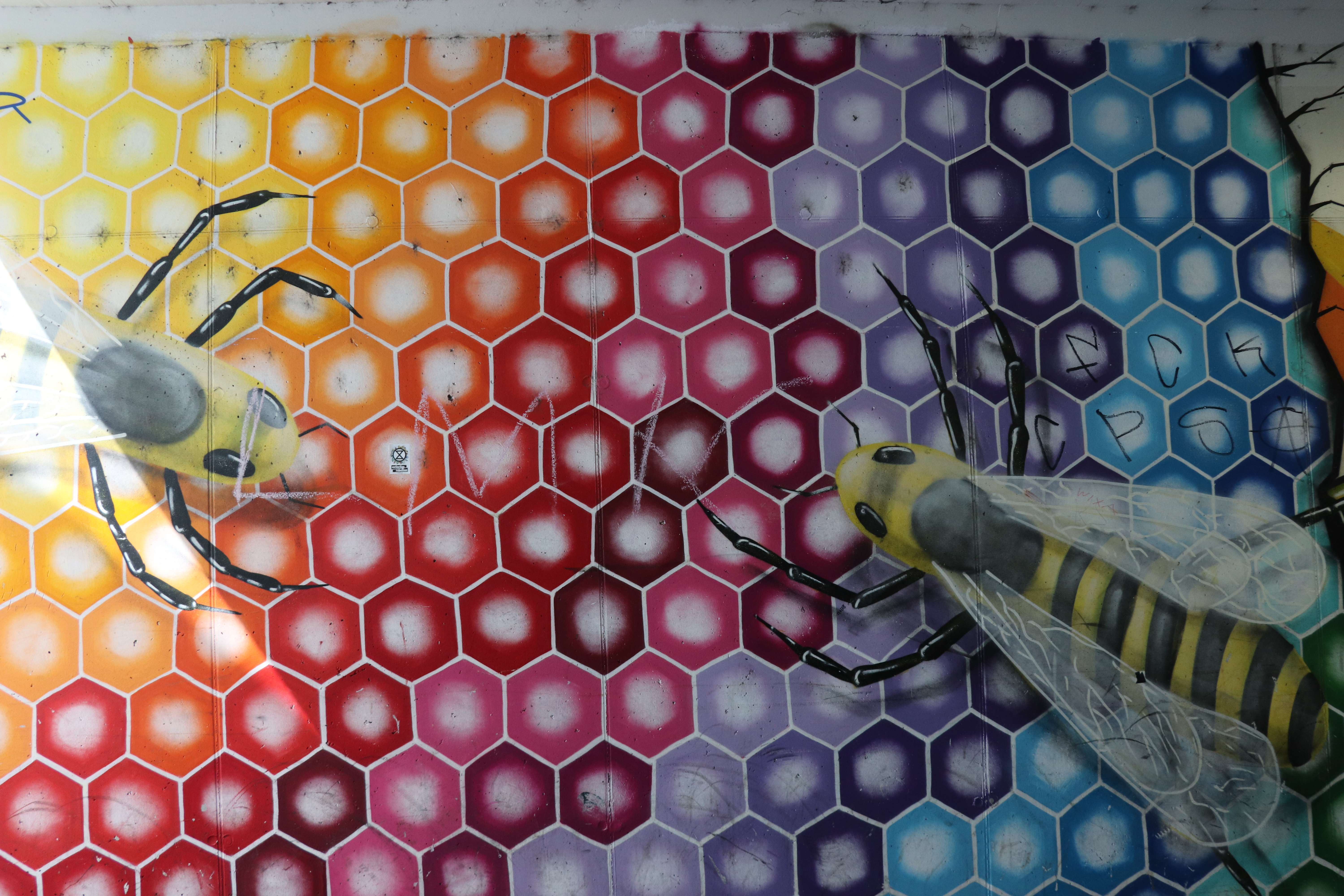 Graffiti und Murals machen graue Mauern bunt und lebensfroh. Ein Streetart-Workshop für Jugendliche findet am 17. Juli statt.