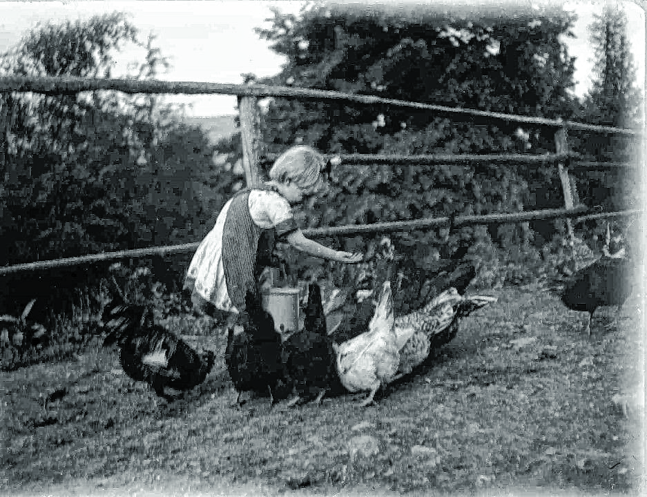 Kleines Mädchen beim Füttern von Hühnern, vermutlich 1920er-Jahre.