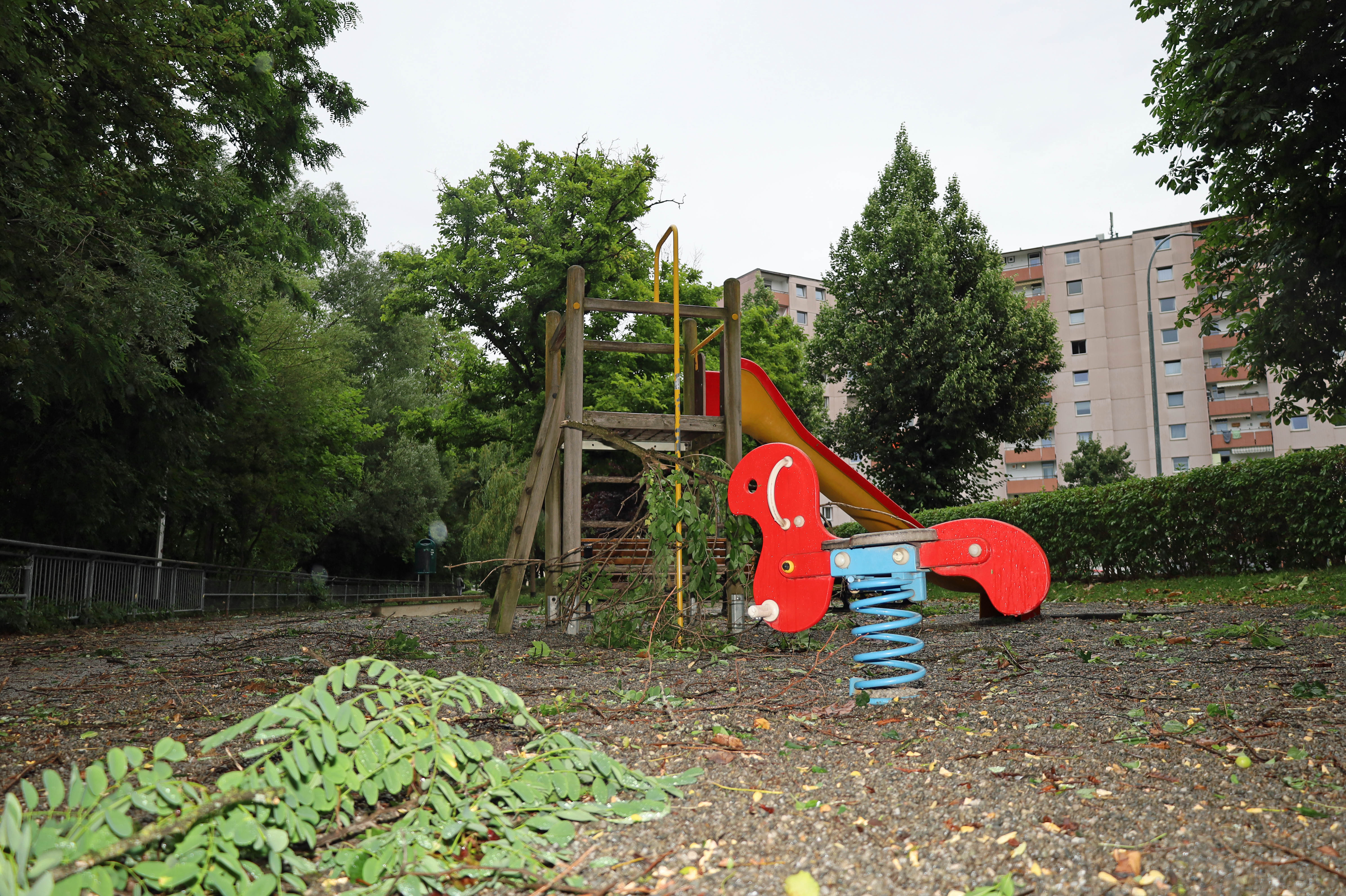 Bäume und Äste wurden von Straßen und Autos sowie Innsbrucks Grünanlagen, Geh-, Rad- und Forstwegen geräumt.