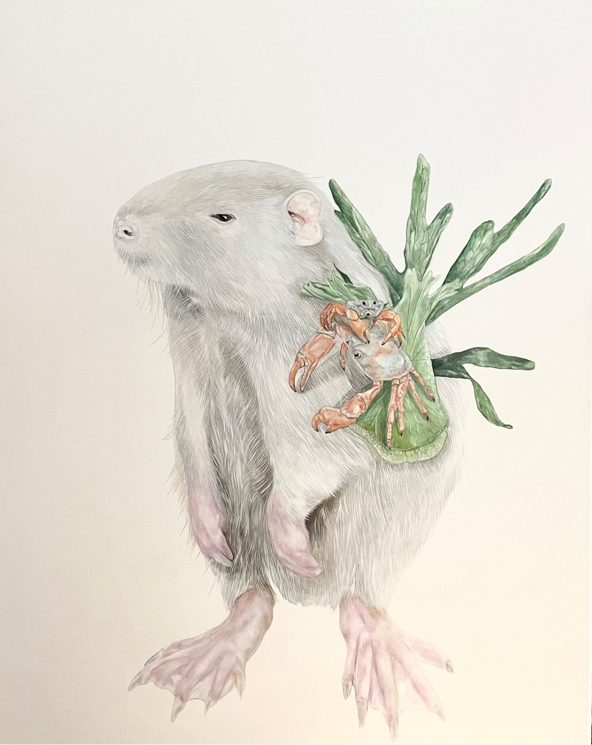 Ina Hsu beschäftigt sich in ihrer Kunst mit dem rücksichtsvollen Miteinander aller Lebensformen.