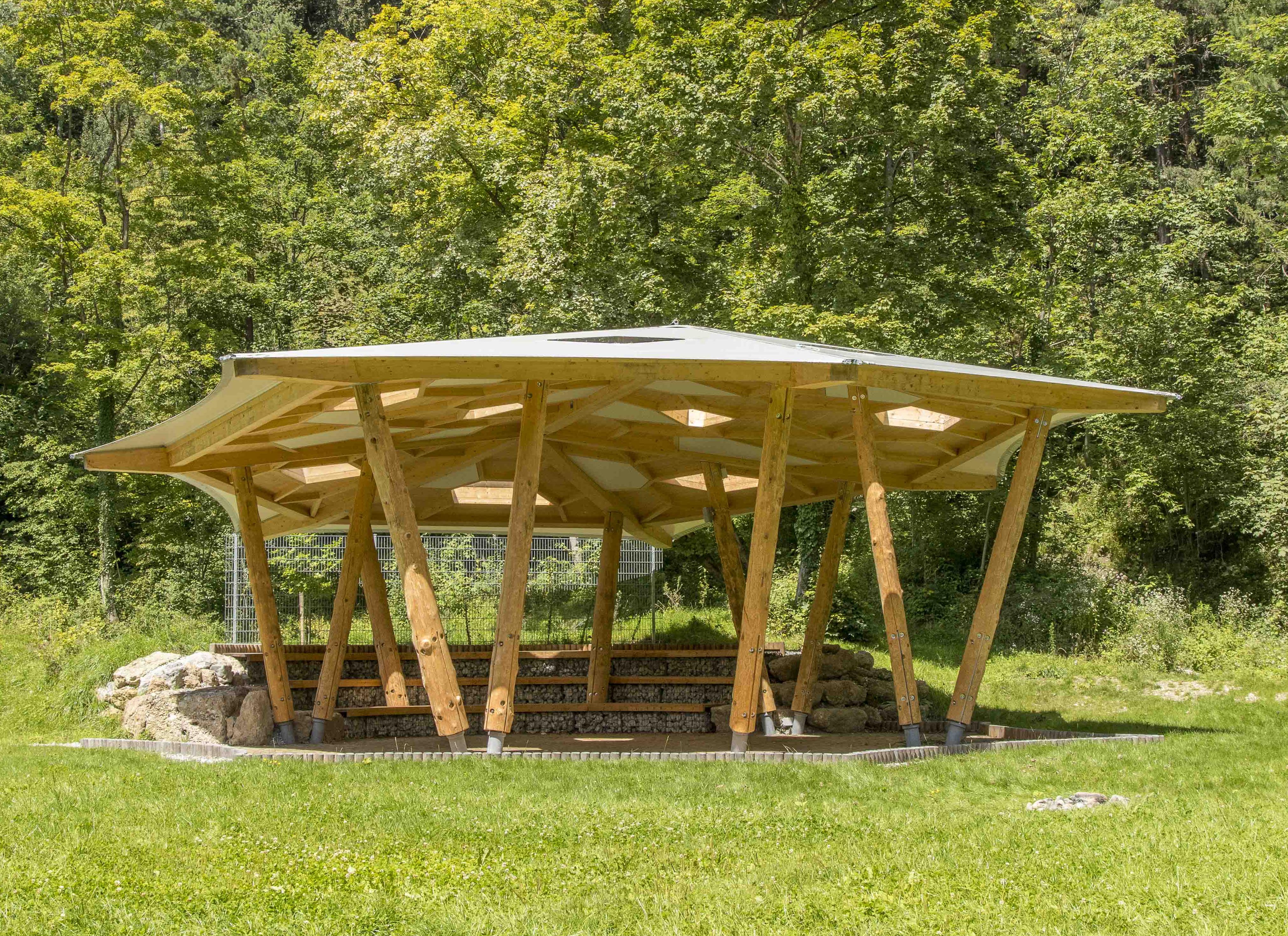 Die Waldschule Innsbruck: Ein Ort zum Lernen und Erleben.