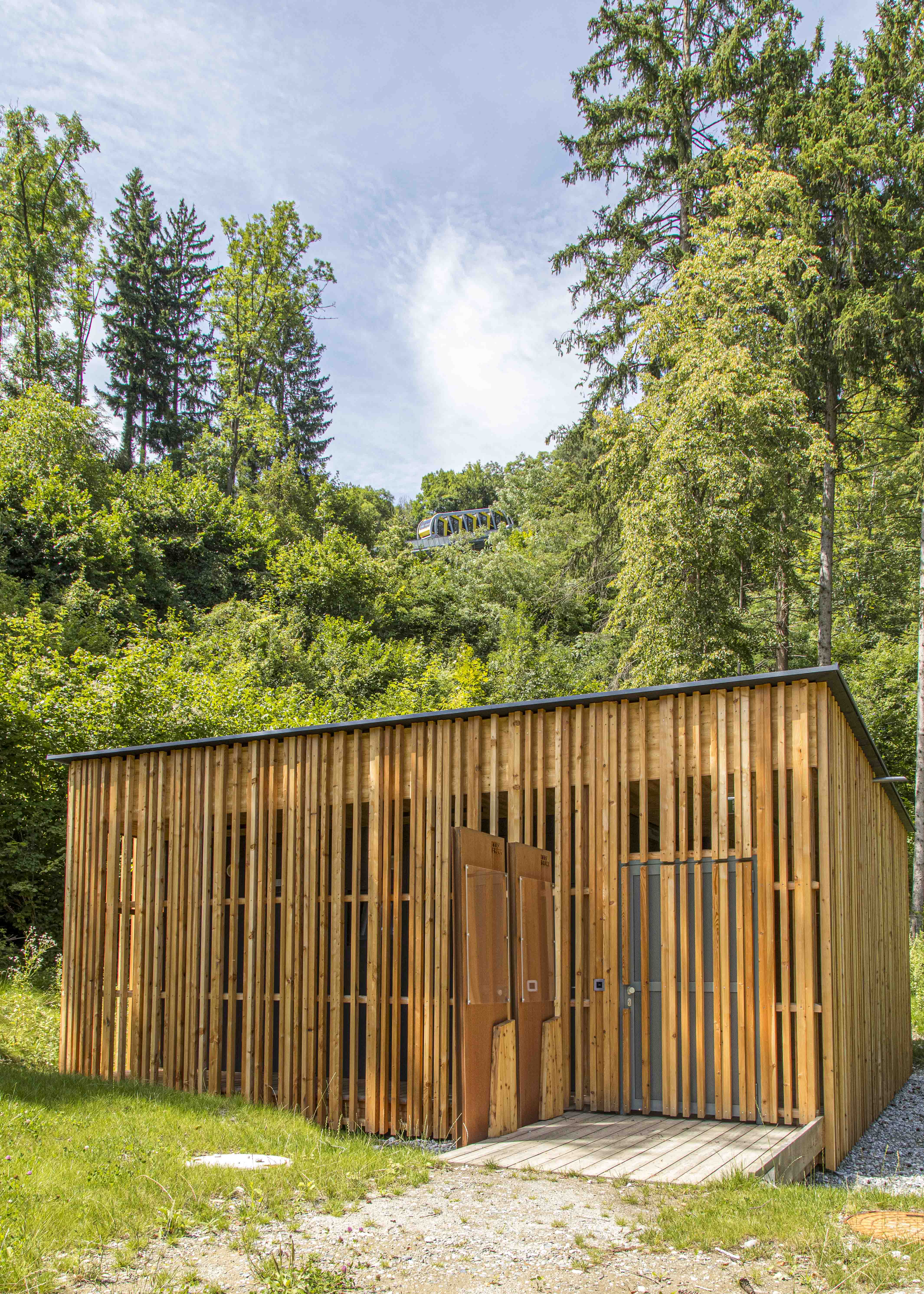 Die Erlerwiese im Mühlauer Stadtwald ist am besten vom Alpenzoo aus erreichbar.