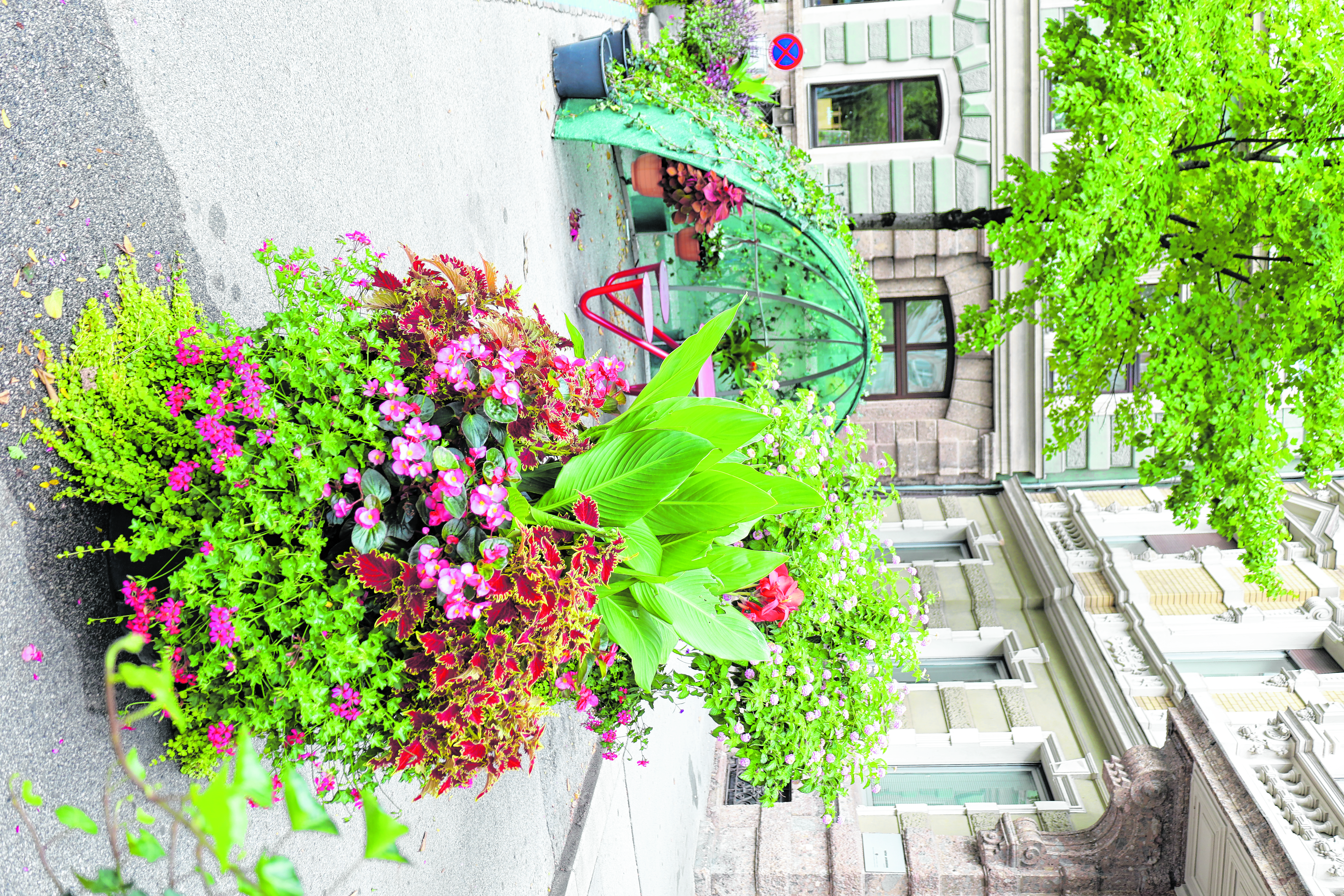 Der Adolf-Pichler-Platz wurde in der Europäischen Mobilitätswoche im September zum Treffpunkt.