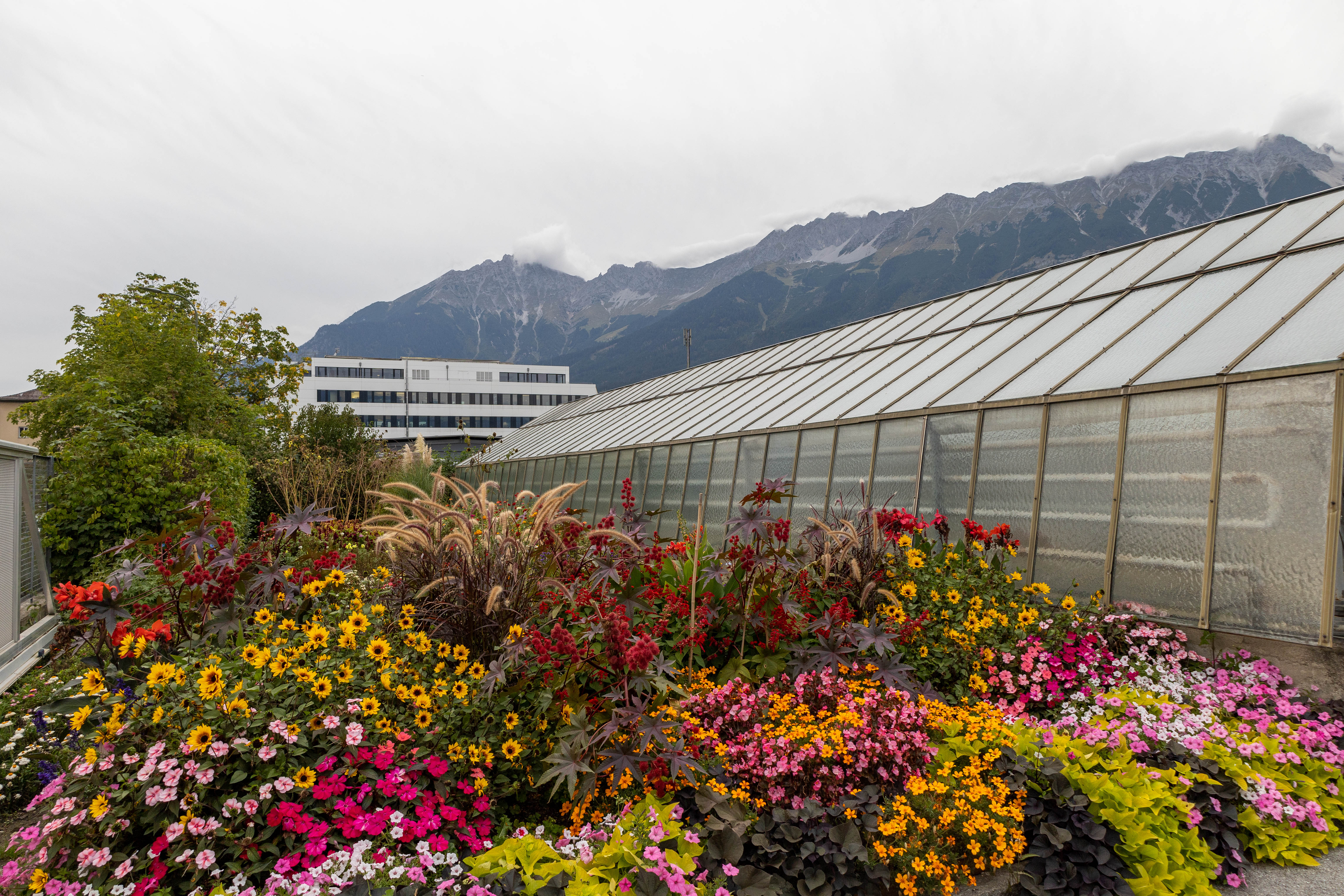 Die 164 MitarbeiterInnen kümmern sich um 1,3 Millionen Quadratmeter Grünflächen und rund 25.000 Bäume im Stadtgebiet. Außerdem fällt die Betreuung und Modernisierung von 74 Spielplätze und Sportanlagen in ihr Aufgabengebiet.