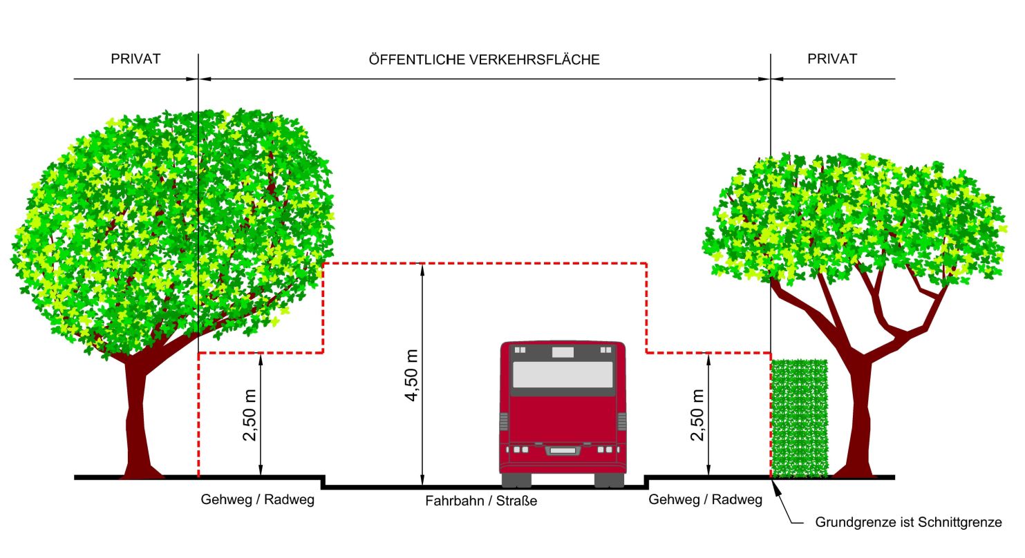 Ab der Grundstücksgrenze dürfen Äste nicht niedriger als 2,5m (Geh- und Radwege) und 4,5m (Straßen) hängen – ansonsten müssen sie geschnitten werden.