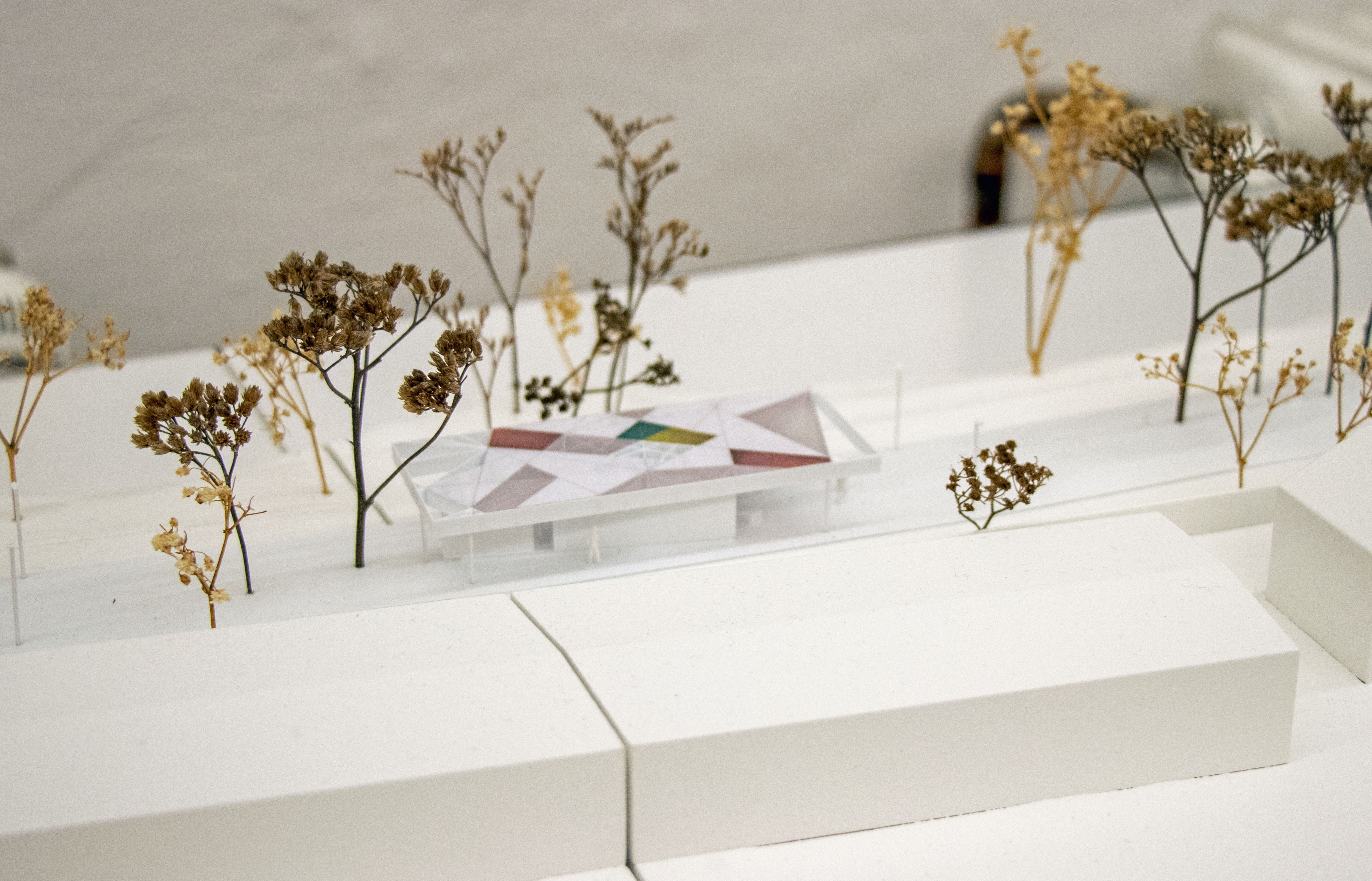 Aus insgesamt sechs Einreichungen in der zweiten Wettbewerbsstufe wurde das Siegerprojekt „Gedenkort Reichenau“ ausgewählt.