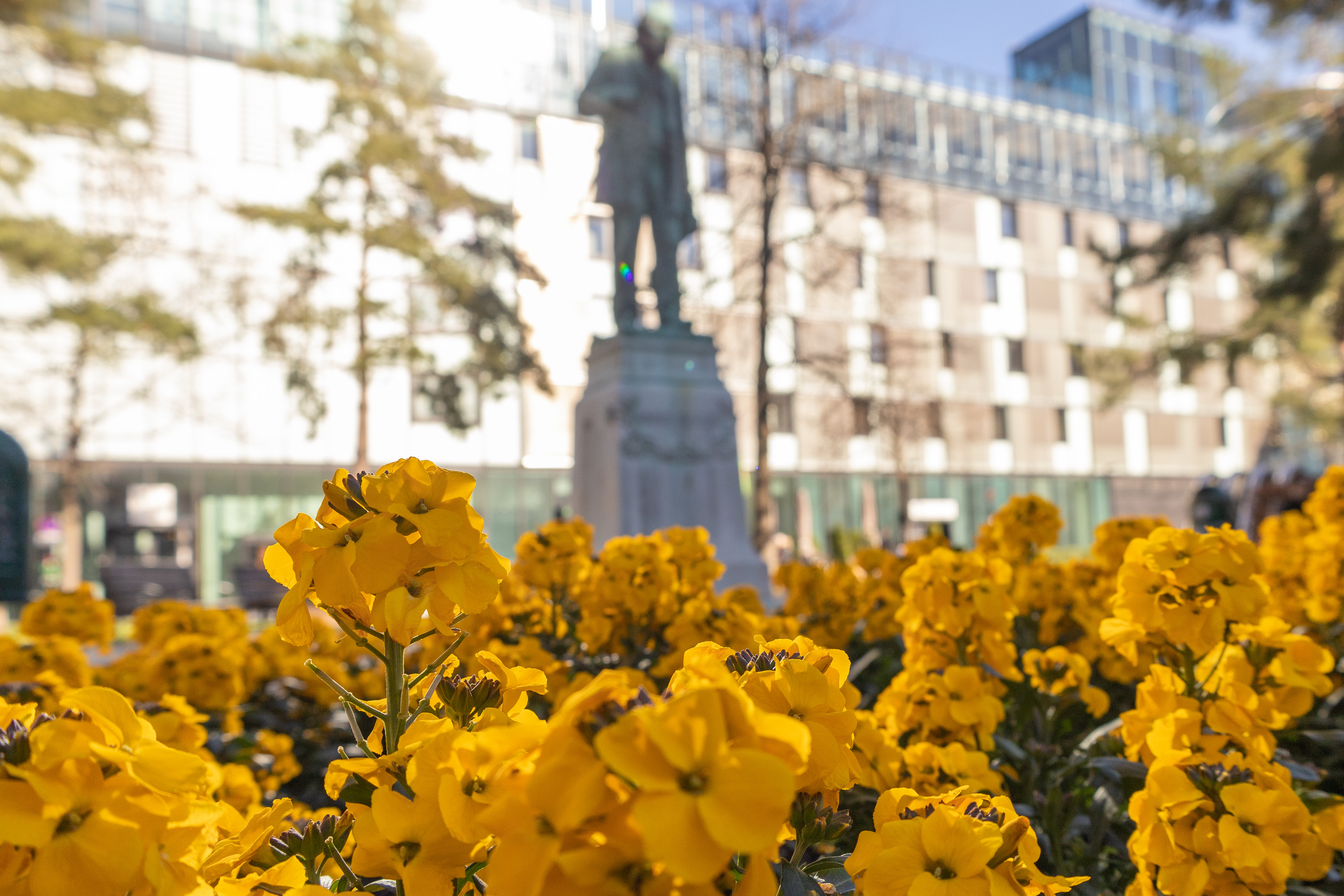 Die Beete am Adolf-Pichler-Platz verbreiten frühlingshafte Stimmung.