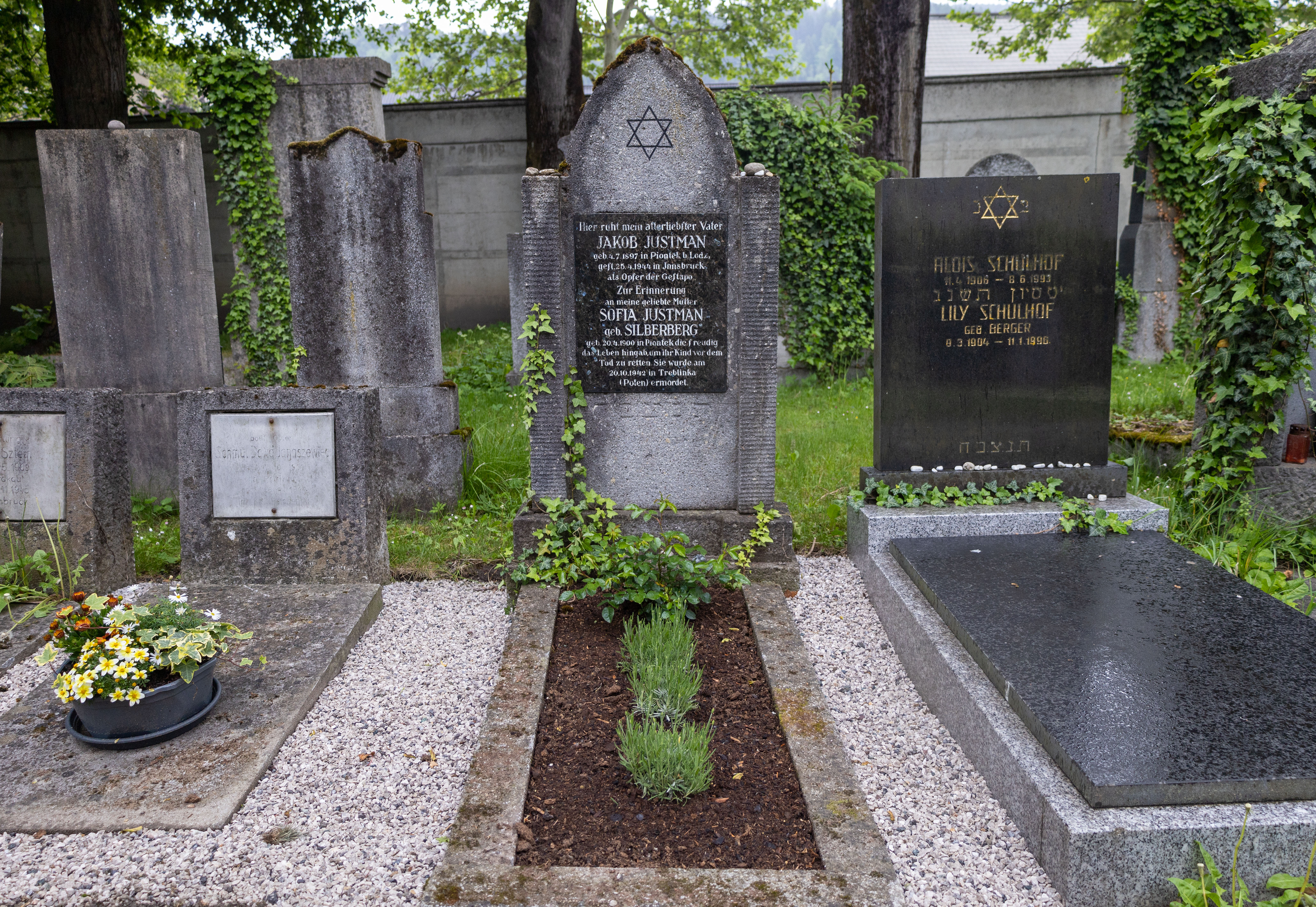 Das Grab von Jakob Justman wurde kürzlich verschönert und befindet sich am jüdischen Teil des Innsbrucker Westfriedhofs.