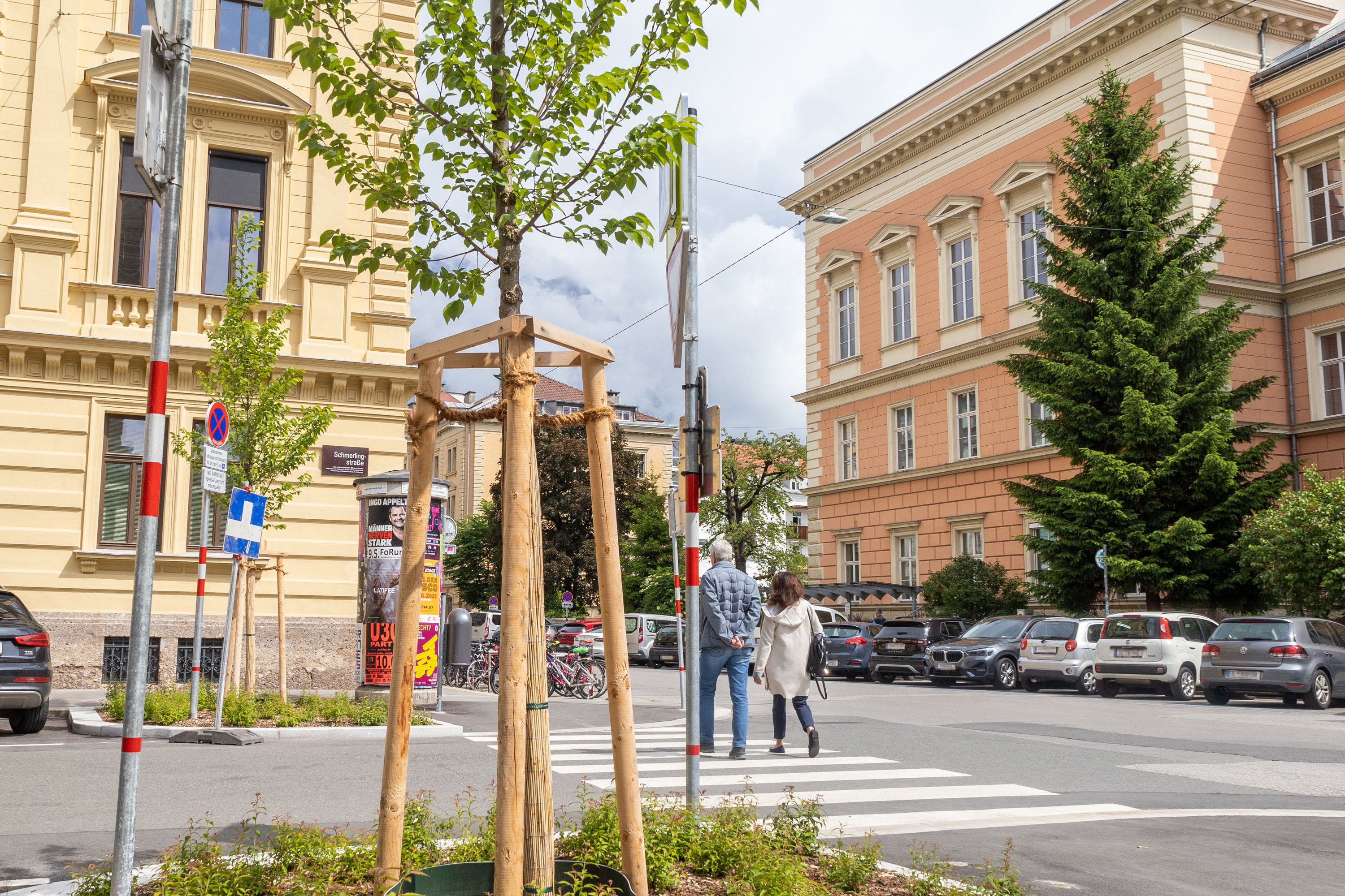 Vorzeigeprojekt: In der Schmerlingstraße wird das Regen- und Schmelzwasser von den Dächern zu den Wurzeln der Bäume umgeleitet.