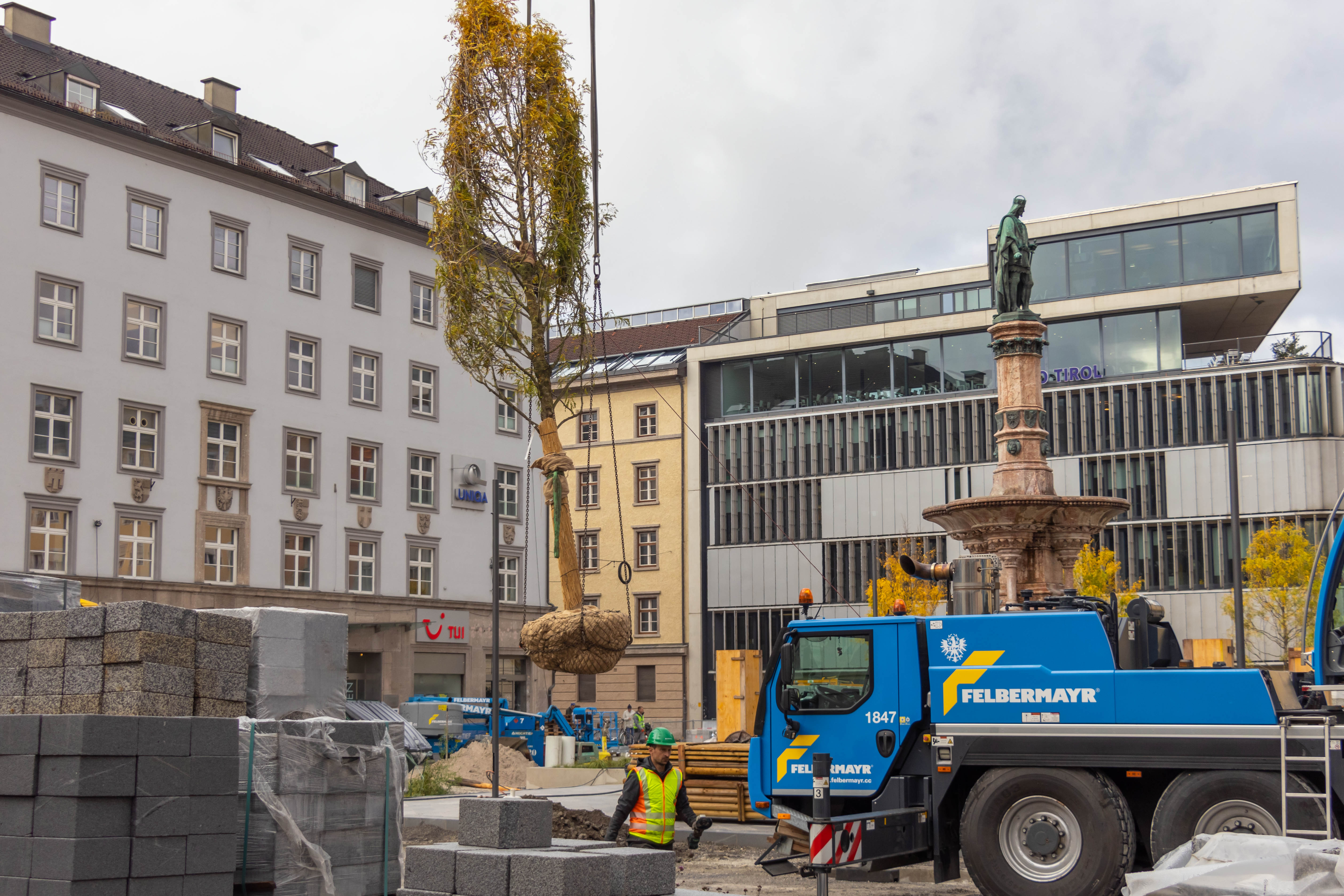 31 neue Gleditschien werden am Platz gepflanzt.