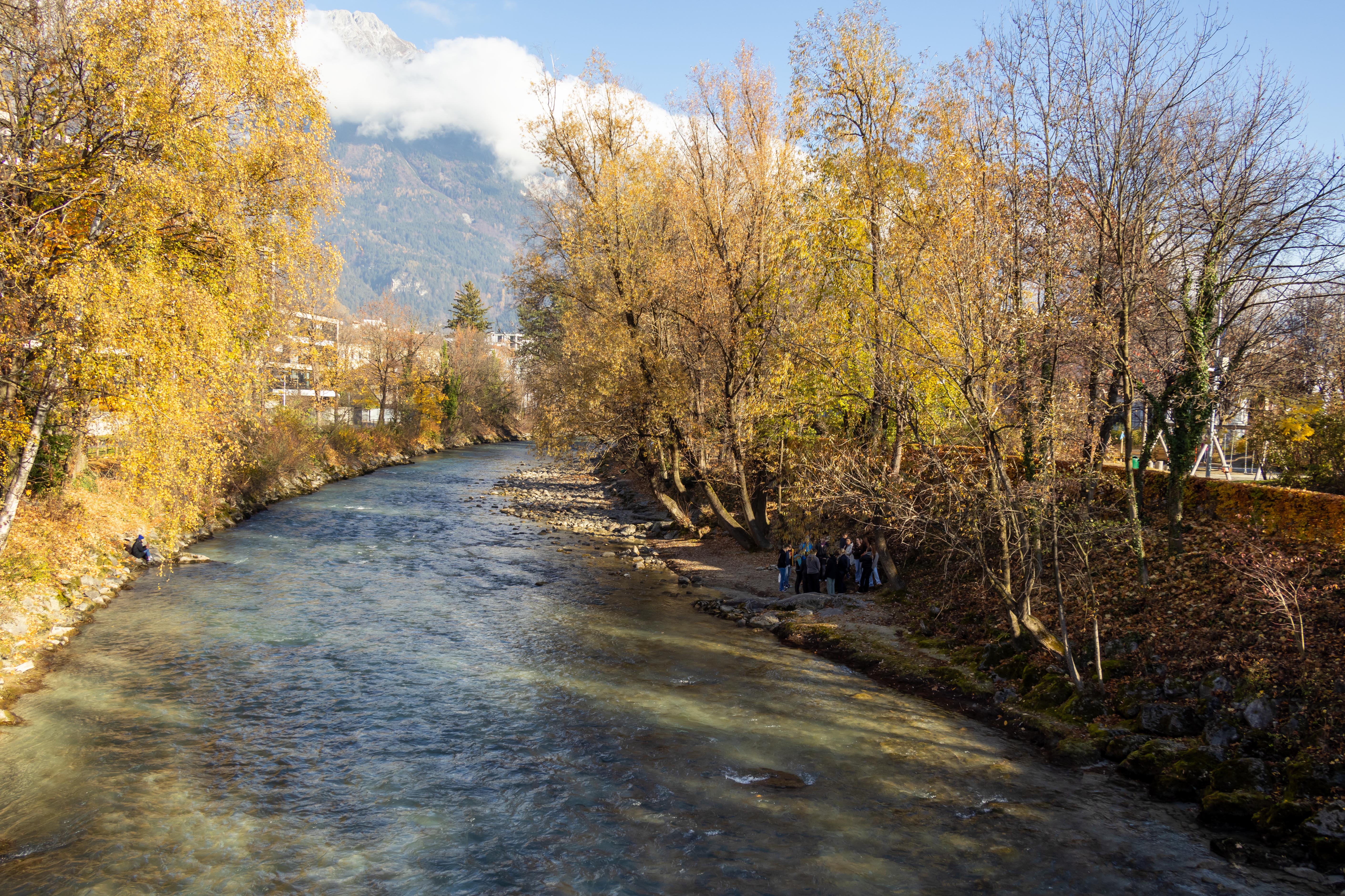 Im Herbst und Winter sind entlang des Inns und der Sill die Spuren des zweitgrößten Nagetieres der Welt zu entdecken.