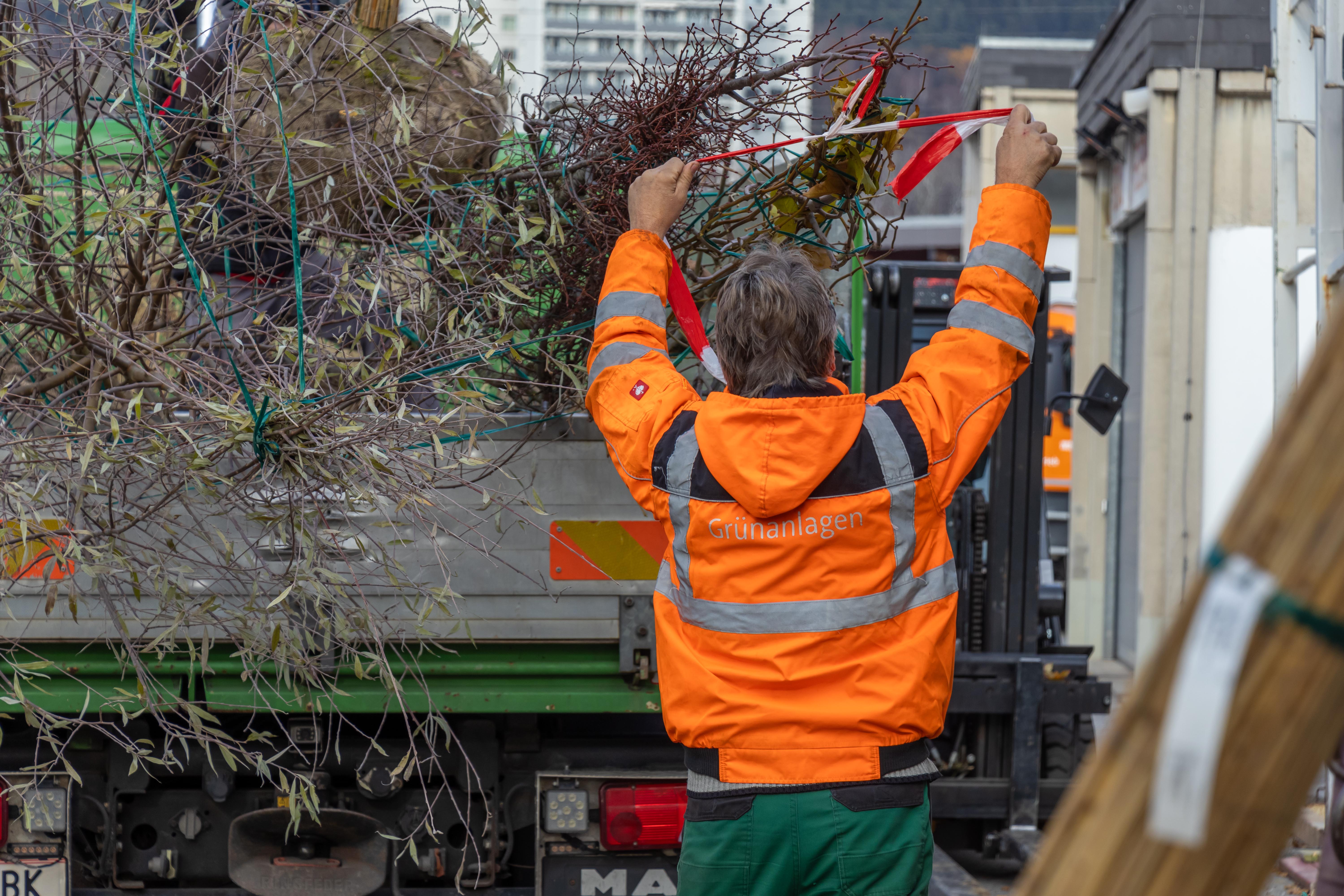 Wo gebaut wird, wächst auch Grün: Bei städtischen Tiefbauprojekten setzt Innsbruck konsequent auf Baumreihen – für Schatten, ein besseres Mikroklima und eine klimafitte Stadt.