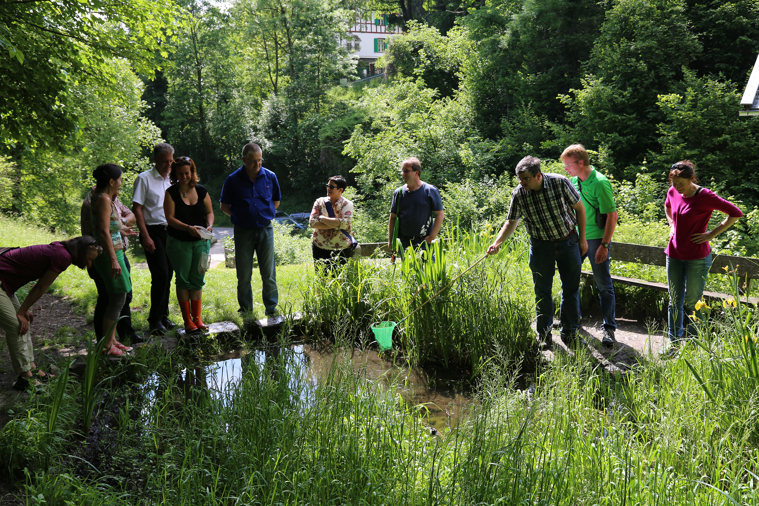 Der Ausschuss für Umwelt, Energie und Mobilität, unter der Vorsitzenden Uschi Schwarzl, besuchte das Mühlauer Fuchsloch. 1989 wurde ein Großteil der heutigen Teiche vom Mühlauer Erwin Kögl angelegt. Seit 1998 wird das 2,5 ha große Naturschutzgebiet durch „natopia“ betreut. Die Stadt Innsbruck fördert dieses Projekt und konnte sich im Beisein von Vizebürgermeisterin Sonja Pitscheider von der hervorragenden Arbeit überzeugen. Biotopsmanagerin Sylvia Auer wartet mit beeindruckenden Zahlen auf und sogar der seltene Teichmolch sowie der Bergmolch konnte gesichtet werden.
