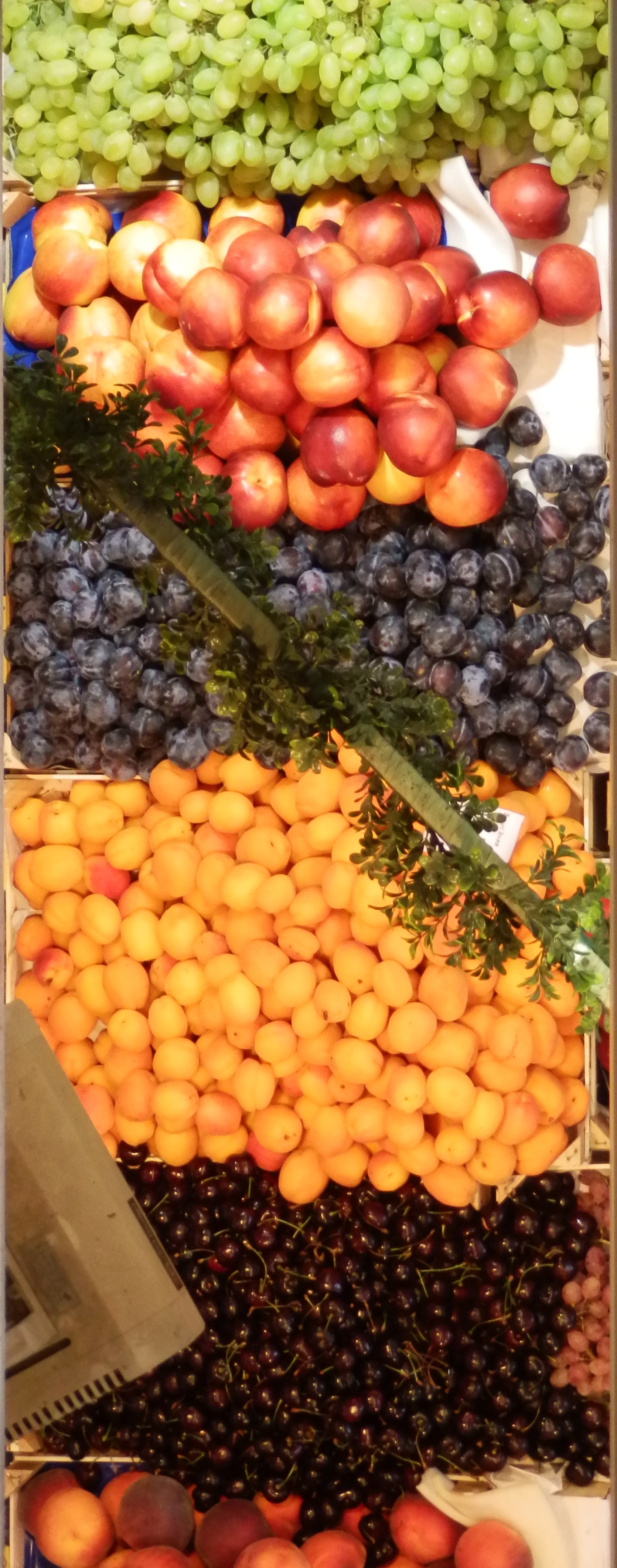 Obst-Art in der "neuen" Markthalle