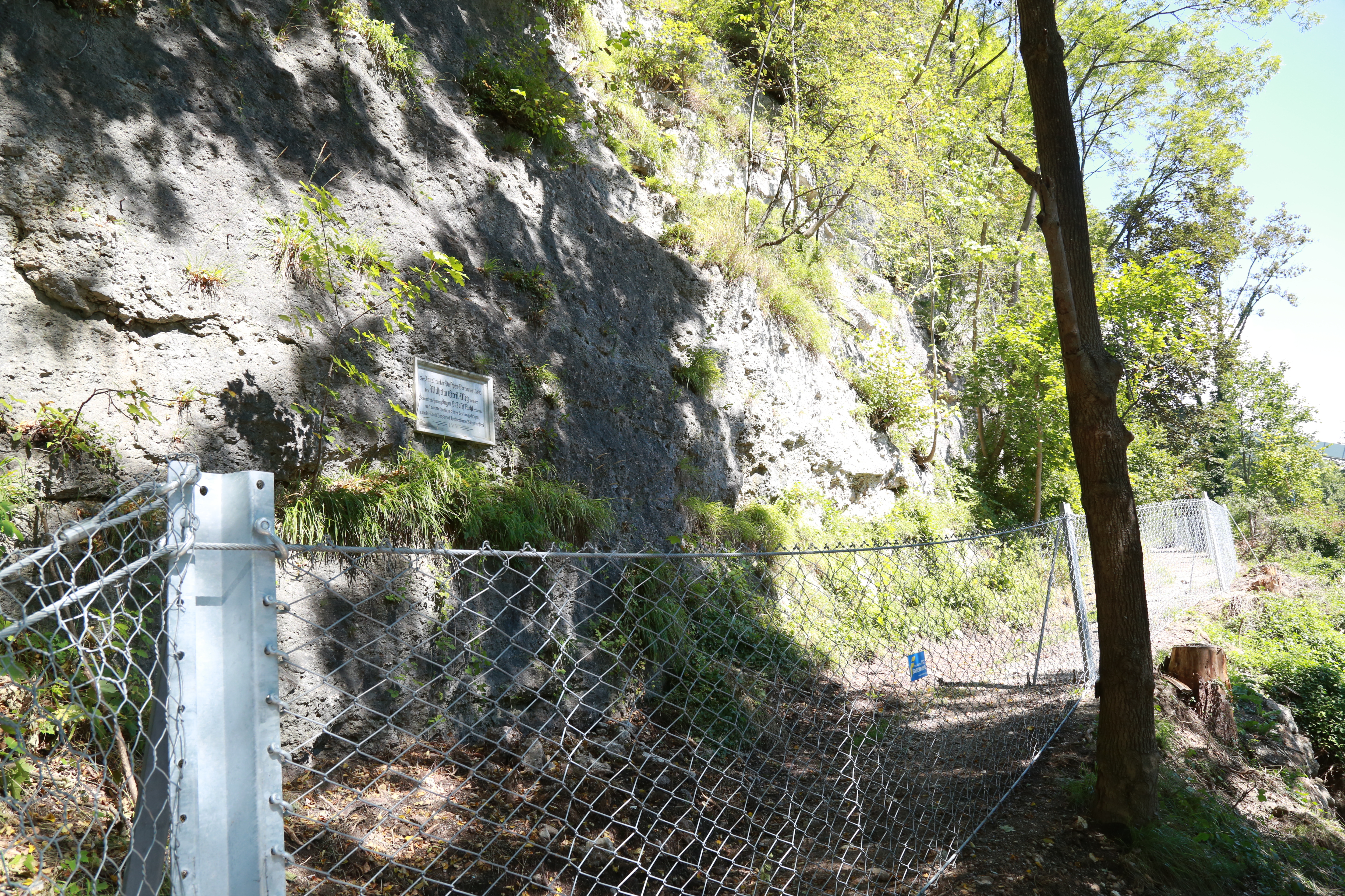 Die neu errichteten Steinschlag-Schutznetze sichern einen weiteren Teilbereich des Wilhelm-Greil-Weges, der auch unter der Hungerburgbahn-Trasse verläuft.