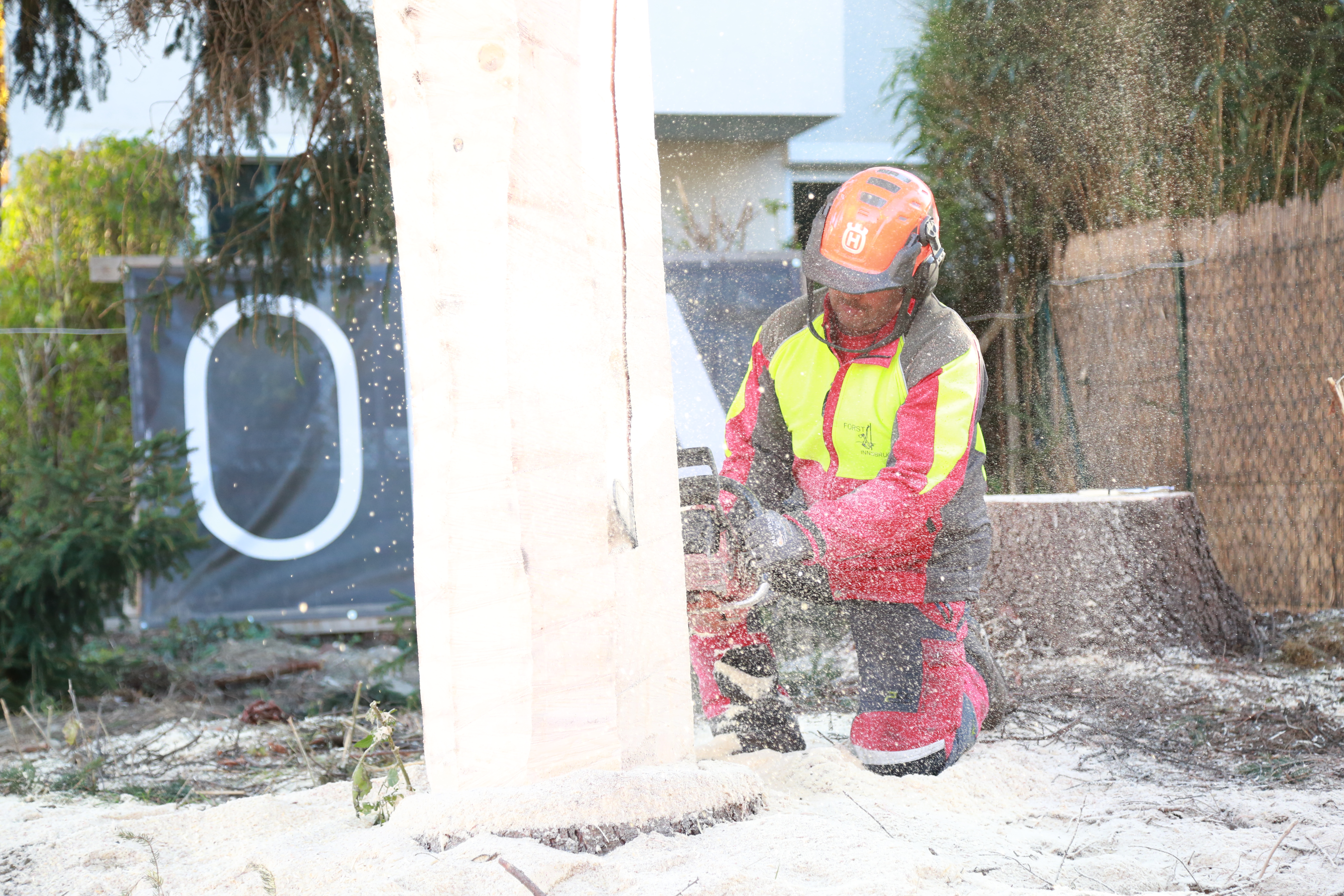 Damit der Baum in die Vorrichtung beim Goldenen Dachl passt, muss der Stammdurchmesser von 68 cm auf 42 gekürzt werden. Dabei darf keine Schräge eingeschnitten werden oder etwa ein Ecke, denn sonst steht der Baum in der Altstadt schief. Dafür braucht es viel Erfahrung und Fingerspitzengefühl.