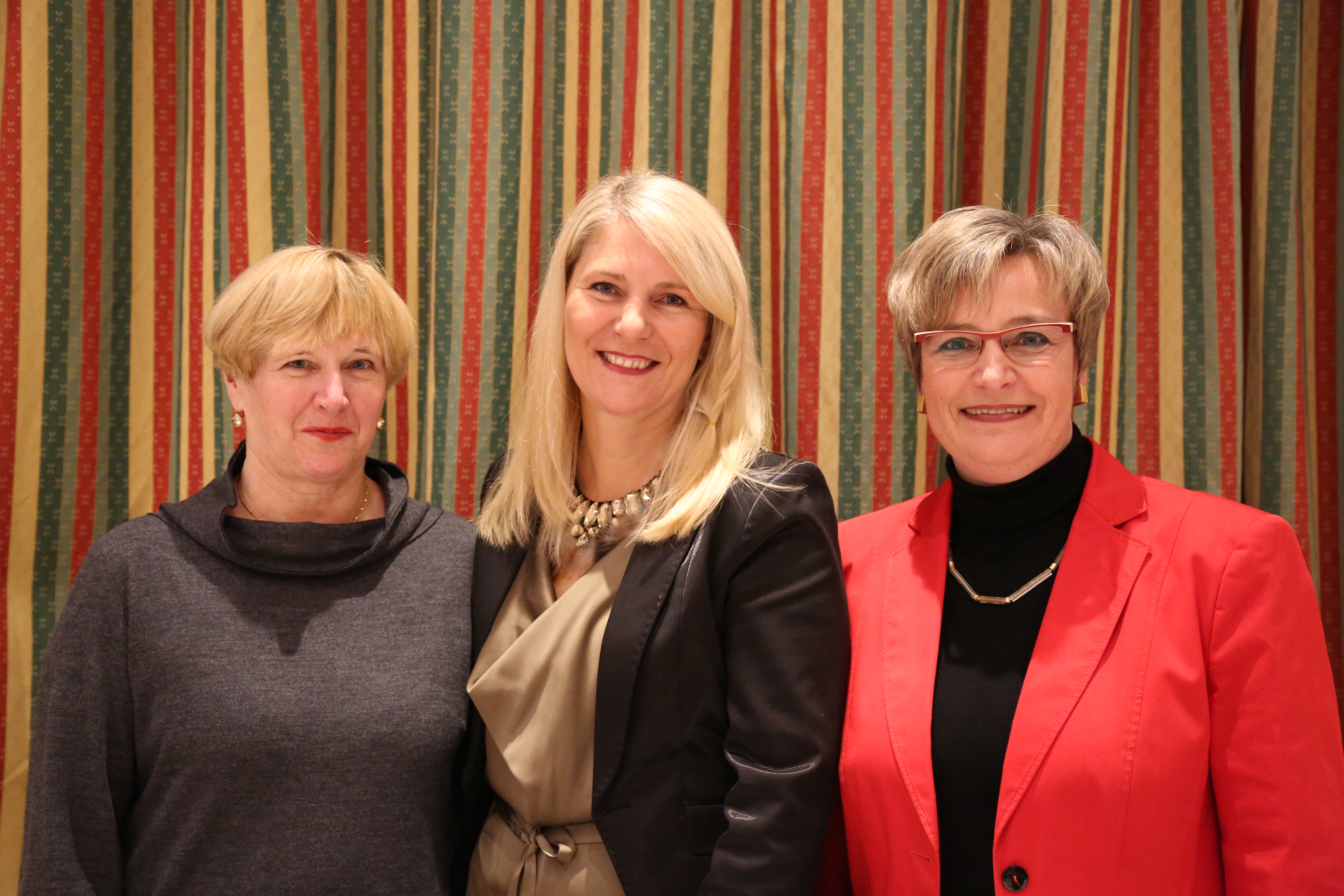 Beim traditionellen Neujahrsempfang in Amras dankte Bürgermeisterin Christine Oppitz-Plörer im Namen aller anwesenden StadträtInnen und GemeinderätInnen den zahlreichen Vereinen für ihre wertvolle Arbeit während des gesamten Jahres. Im Rahmen des Neujahrsempfanges wurde dem gebührtigen Amraser Franz-Heinz Hye-Kerkdal das Kulturehrenzeichen der Stadt Innsbruck verliehen.