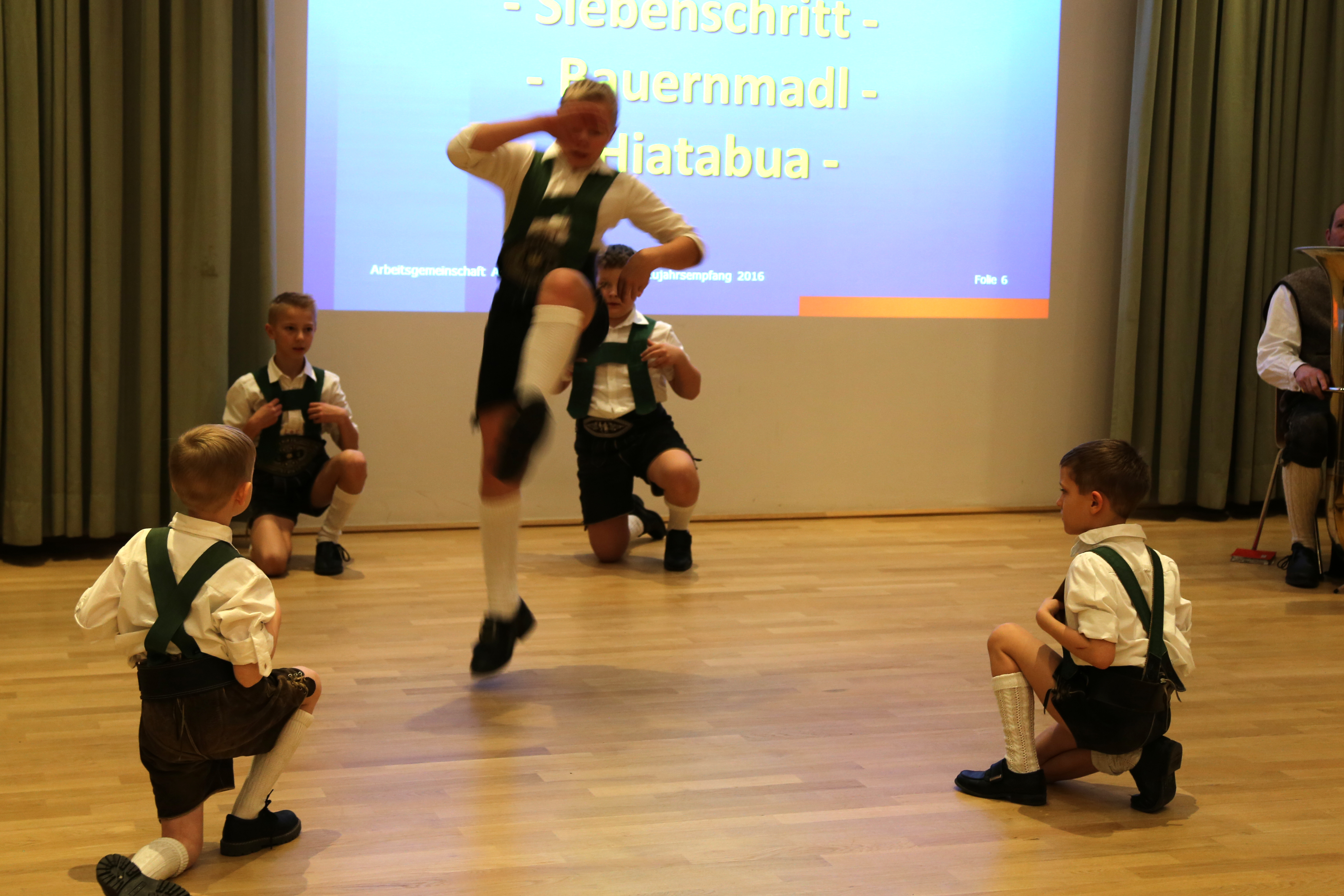 Beim traditionellen Neujahrsempfang in Amras dankte Bürgermeisterin Christine Oppitz-Plörer im Namen aller anwesenden StadträtInnen und GemeinderätInnen den zahlreichen Vereinen für ihre wertvolle Arbeit während des gesamten Jahres. Im Rahmen des Neujahrsempfanges wurde dem gebührtigen Amraser Franz-Heinz Hye-Kerkdal das Kulturehrenzeichen der Stadt Innsbruck verliehen.