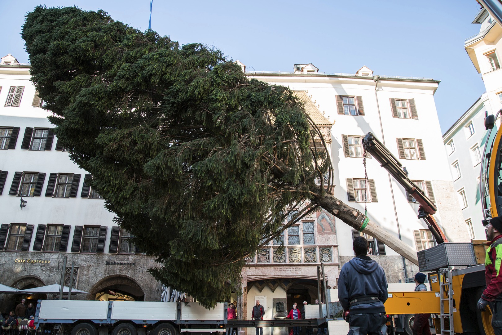 Das Abladen vor dem Goldenen Dachl erfolgt wieder mit zwei Kränen, die den Christbaum aufrichten.